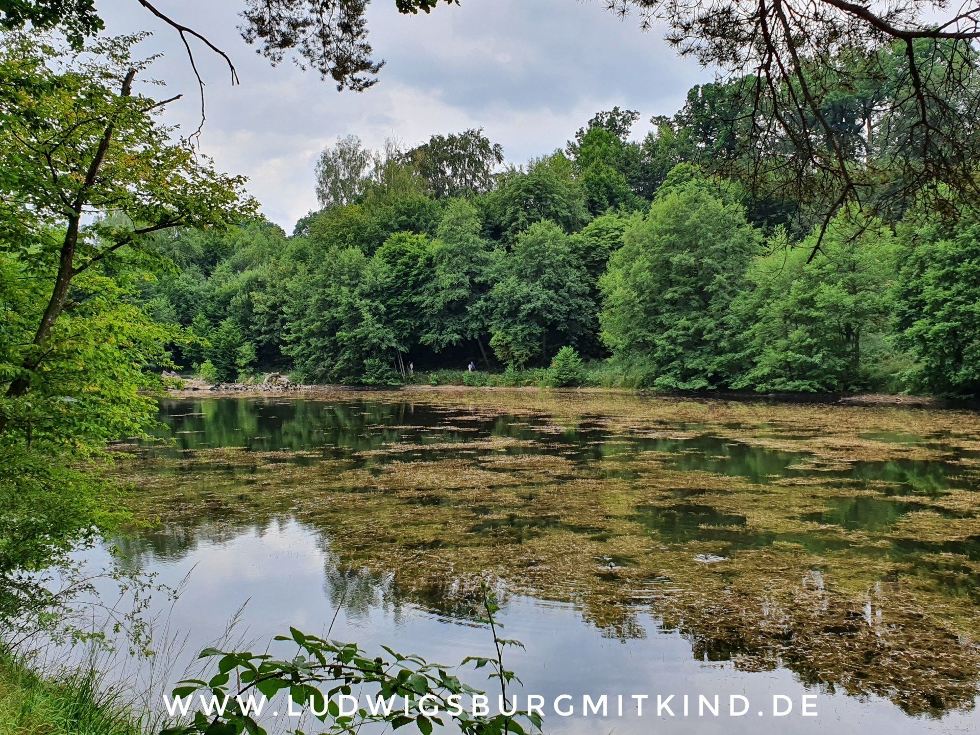 Der Bärensee in Stuttgart spiegelt den Himmel wieder.