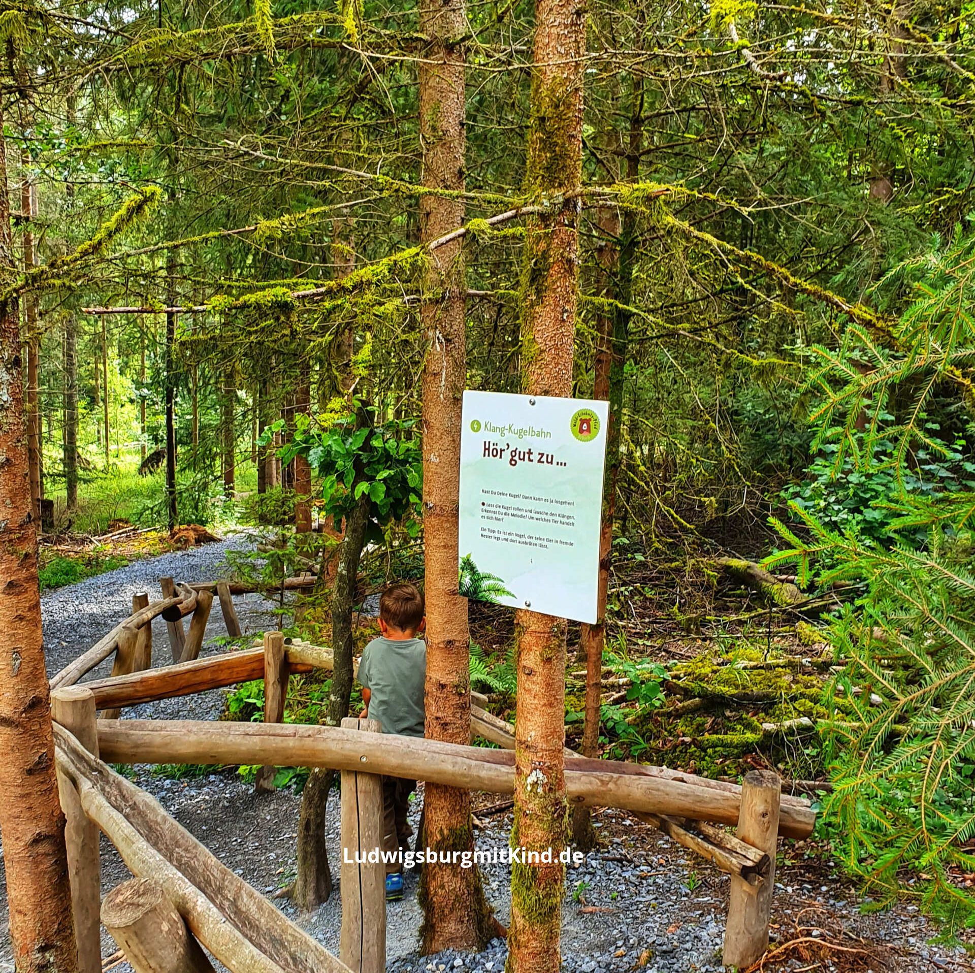 Ein Junge läuft parallel der Kugelbahn des Walderlebnispfads in Urbach im Remstal