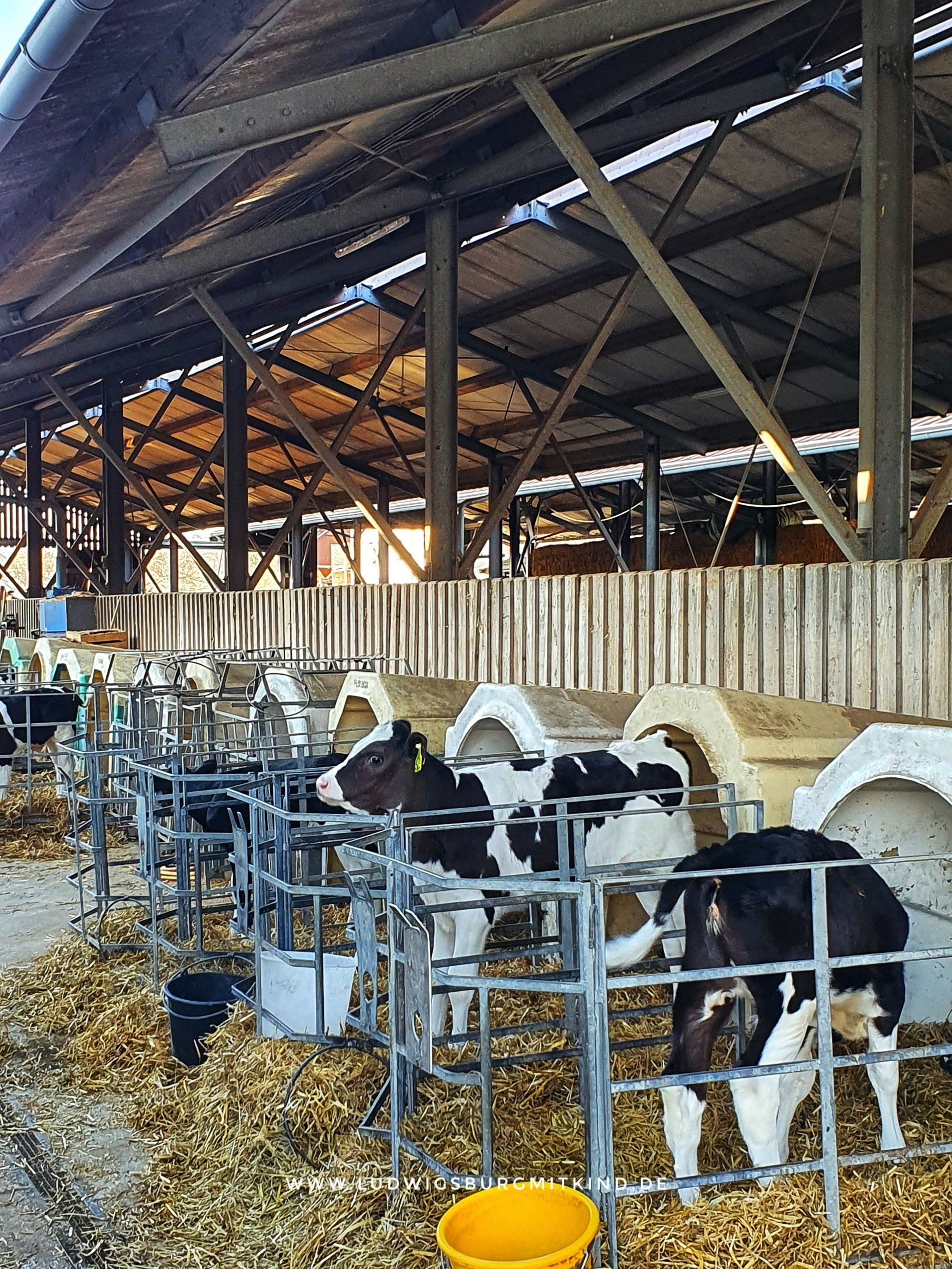 Bauernhof und Hofladen Remseck am Neckar Bauernhof und Hofladen Remseck am Neckar