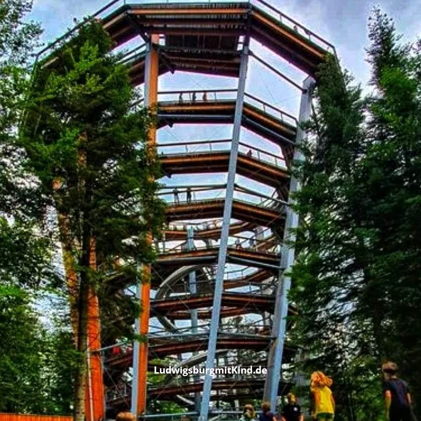 Schwarzwald Baumwipfelpfad Sommerberg Baden-Württemberg Familienausflugsziel Schwarzwald Baumwipfelpfad Sommerberg Baden-Württemberg Familienausflugsziel
