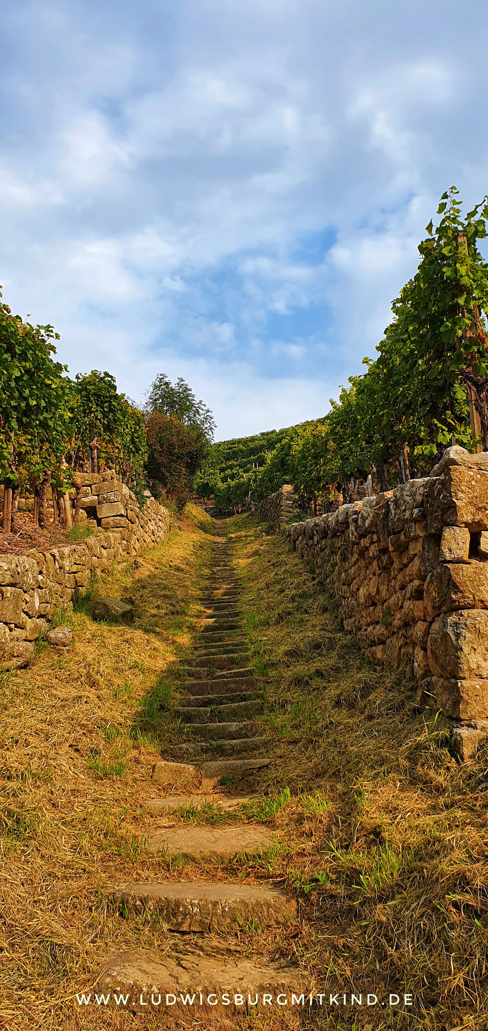 Himmelsleiter Besigheim Wandern Familie Himmelsleiter Besigheim Wandern Familie