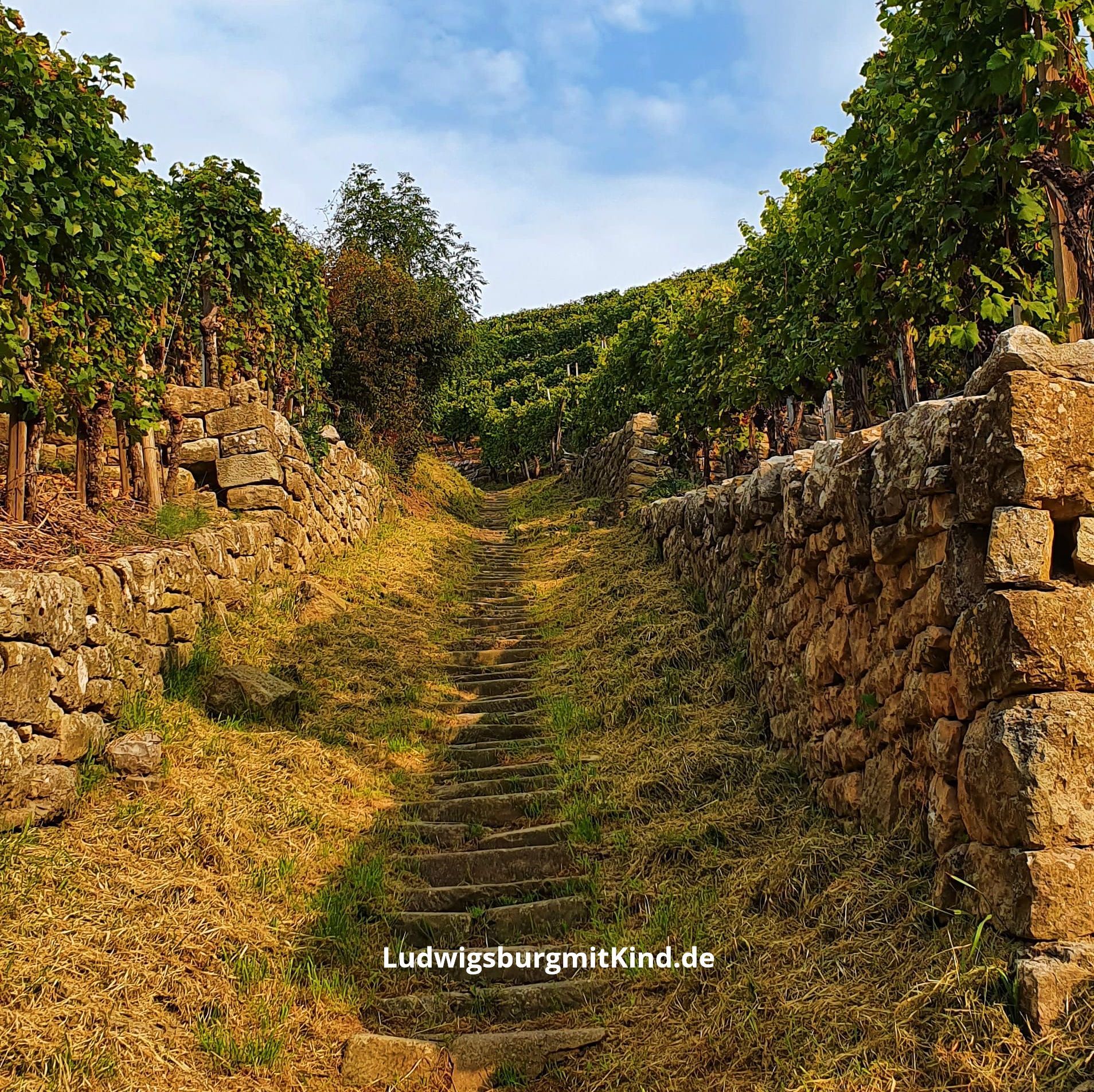 Die Himmelsleiter ist ein beliebtes Ausflugsziel für Familien in Ludwigsburg.