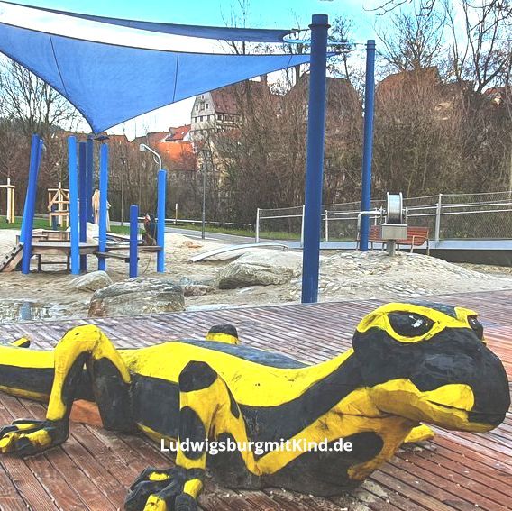 Ein Salamander auf dem Spielplatz in  Besigheim Wasserspielplatz