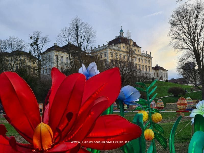 Frührlingserwachen im Blühenden Barock Ludwigsburg