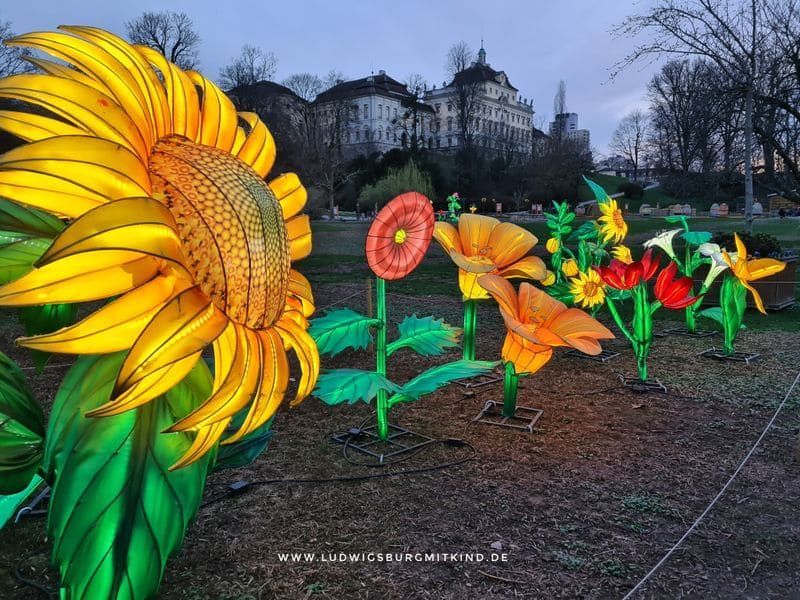 Frühlingserwachen im Blühenden Barock Luwigsburg 2023