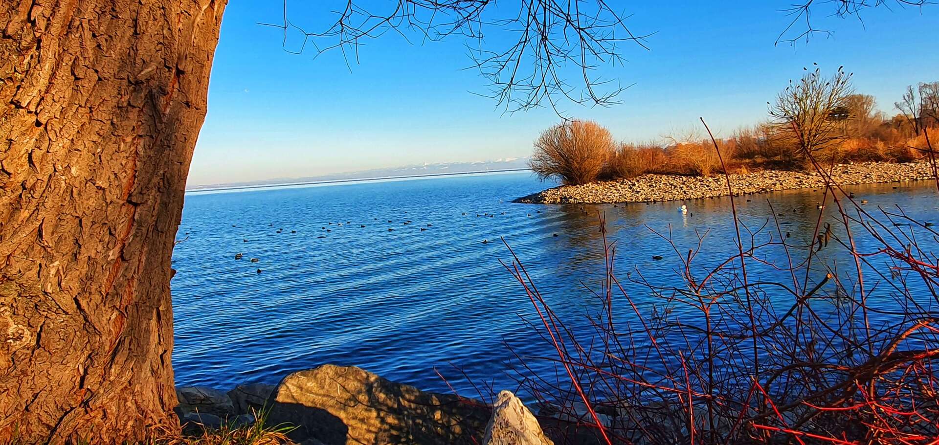 Der Bodensee im Sonnenuntergang.