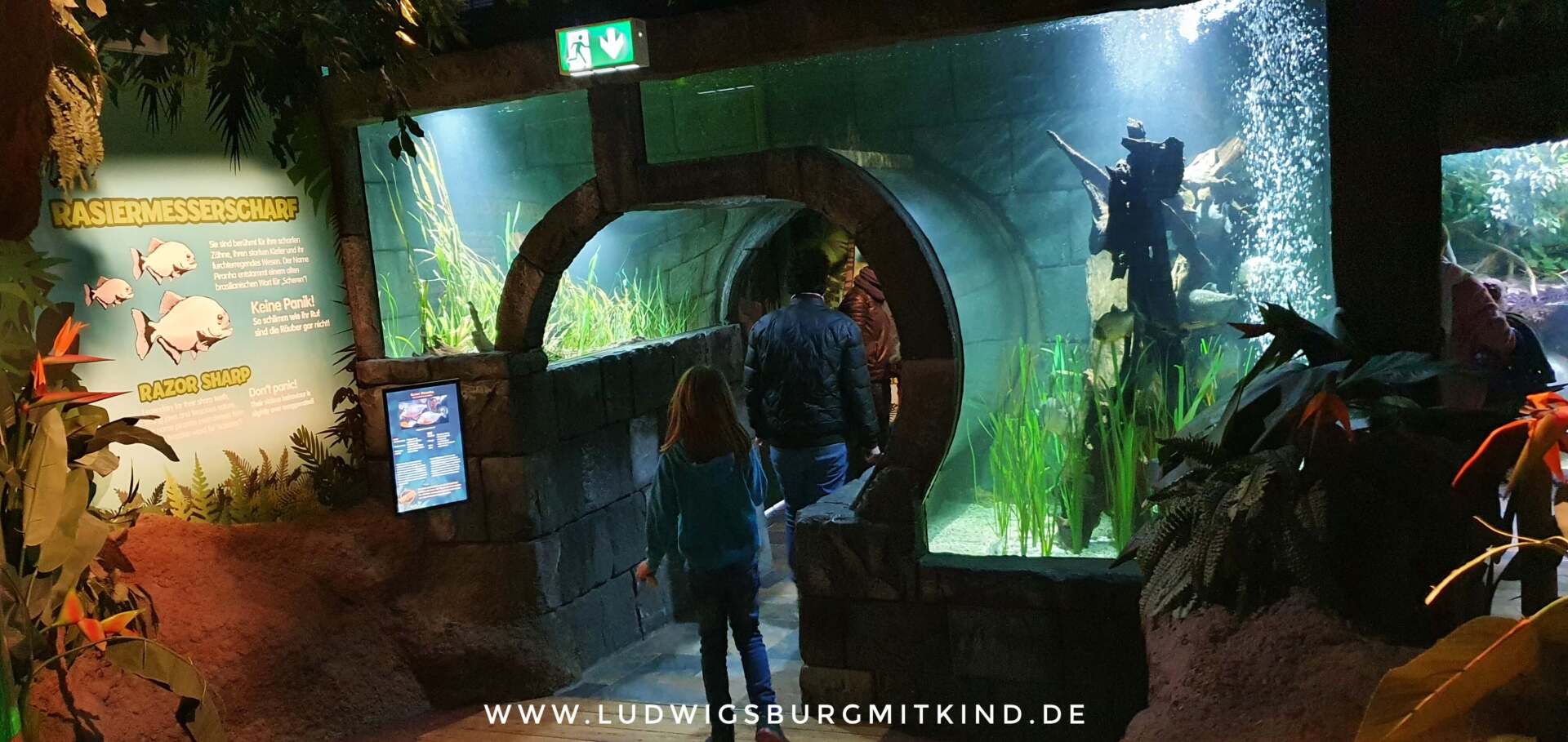 Eine Familie geht durch einen Tunnel. Der Tunnel selbst ist ein Aquarium.