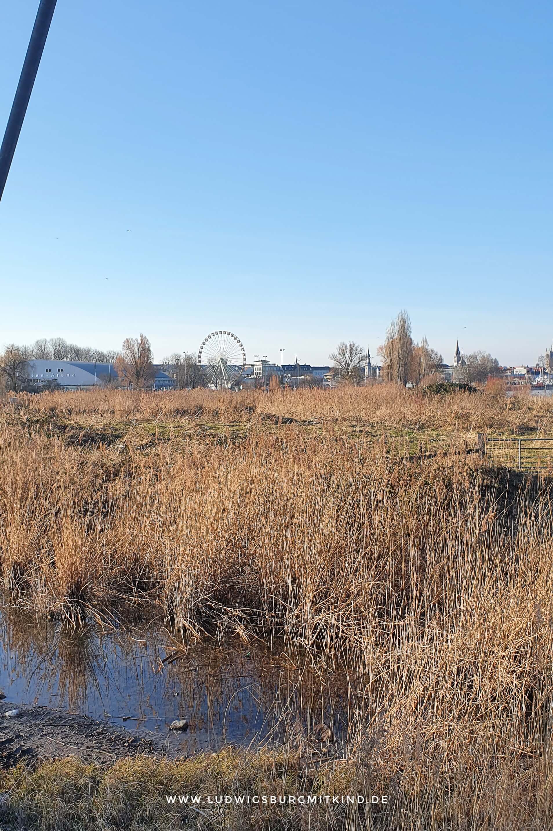 Die Aussicht vom Aussichtsturm in Kreuzlingen auf Konstanz.
