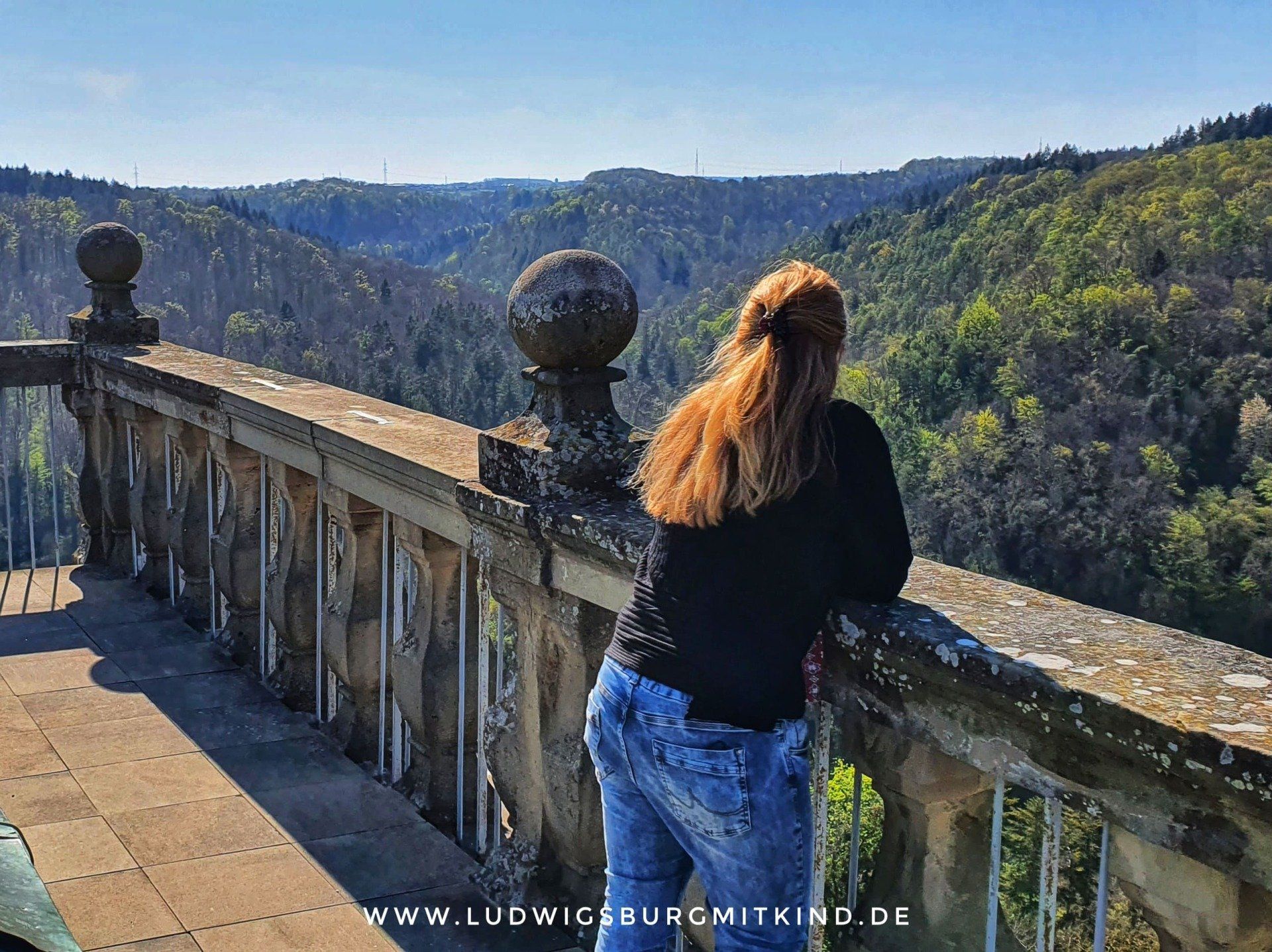 Die Aussicht vom Museum der Burg Guttenberg.