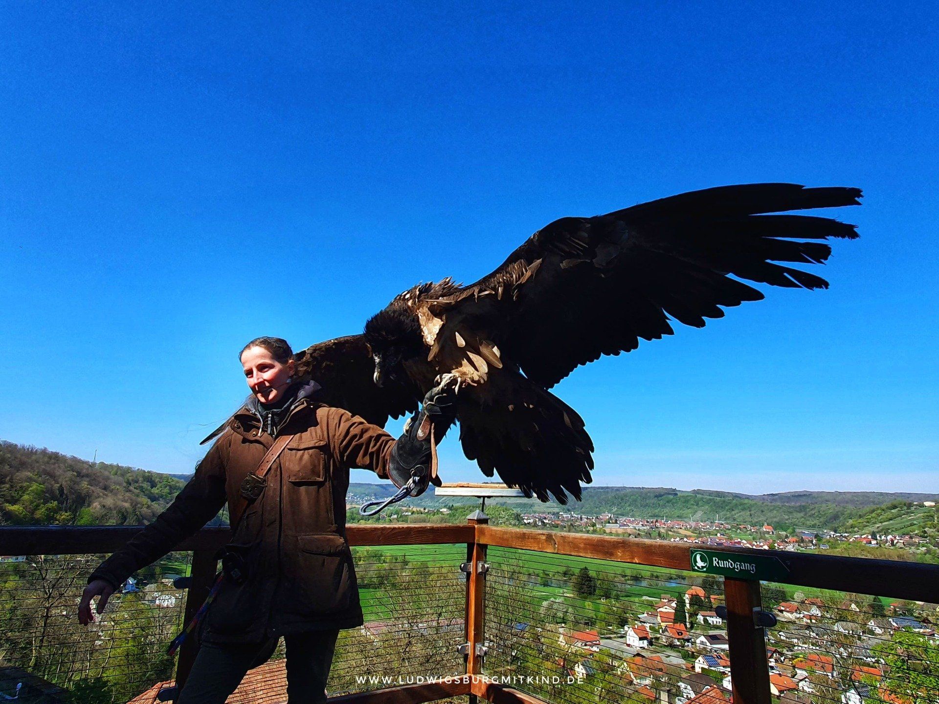 Eine Falknerin hält einen riesigen Greifvogel auf ihrem Handschuh. Im Hintergrund sieht man Wälder um die Burg Guttenberg.
