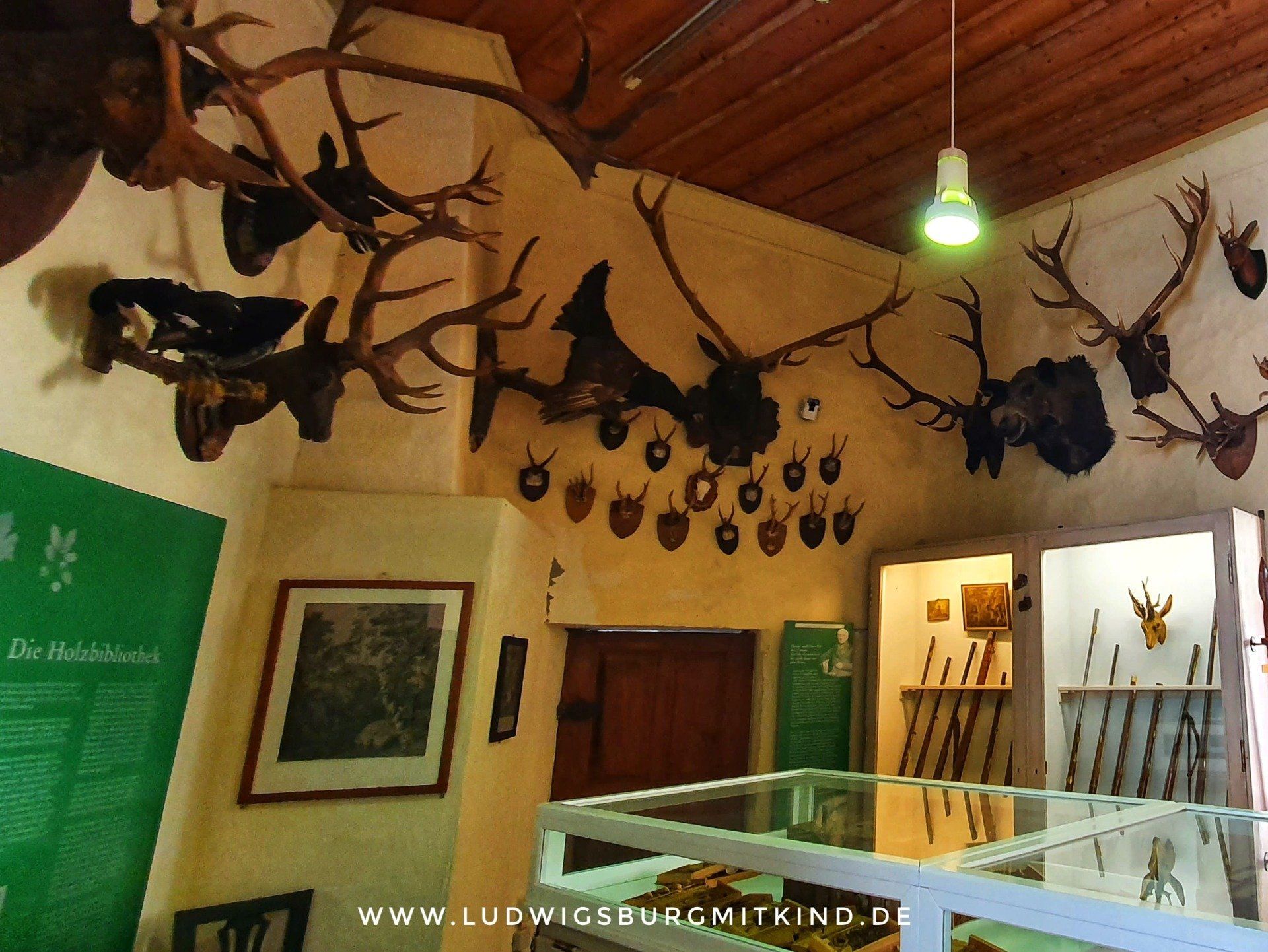 Das Jagdzimmer in der Burg Guttenberg mit zahlreichen Jagdtrophäen