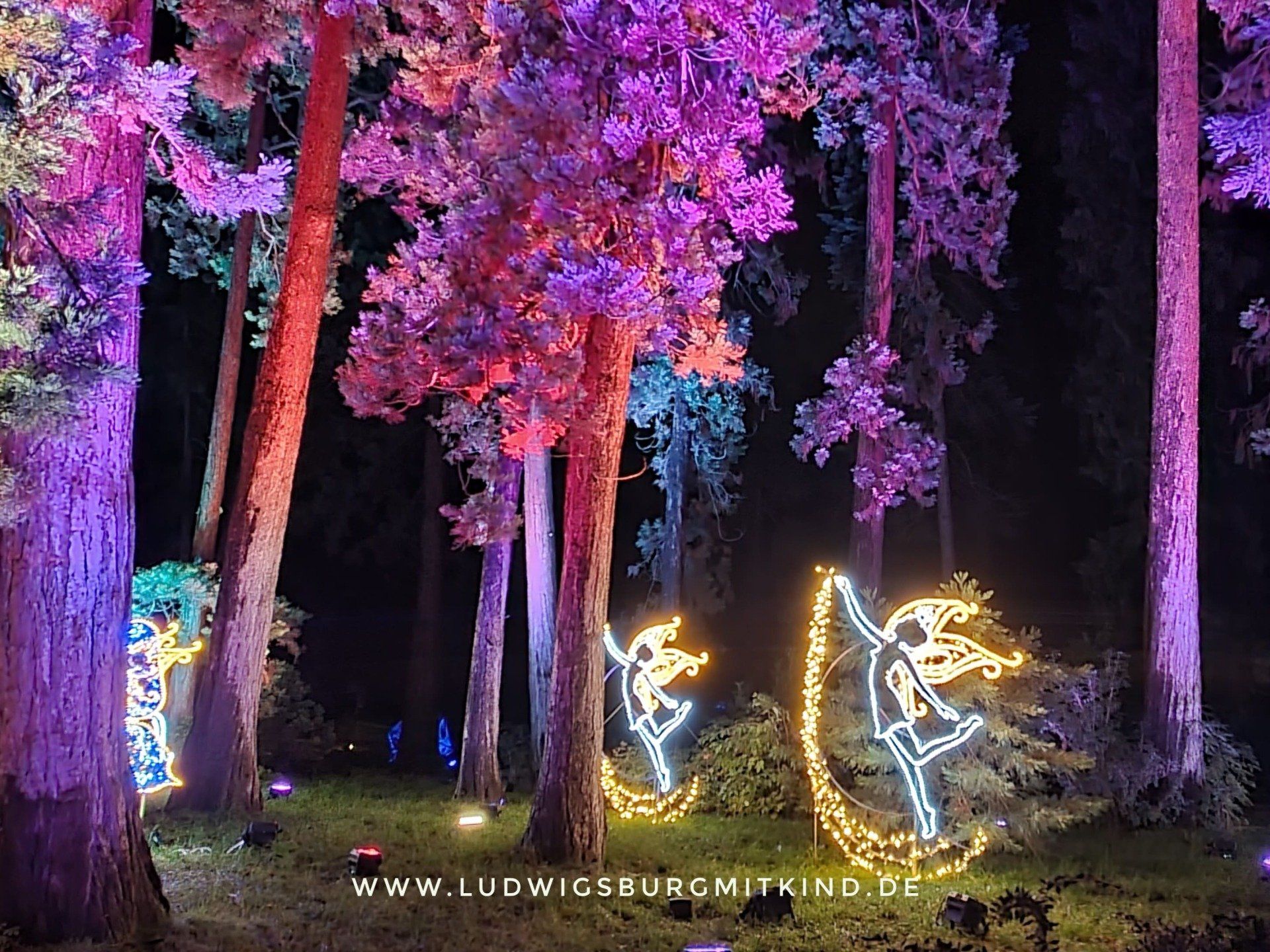 Herbstzauber november 24 Veranstaltungstipps