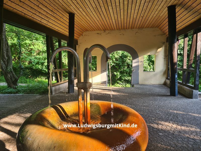 Eichhörnchen Familienwanderung Ludwigsburg Wandern Ludwigsburg mit Kind Familie Wanderweg Eichhörnchen Familienwanderung Ludwigsburg Wandern Ludwigsburg mit Kind Familie Wanderweg