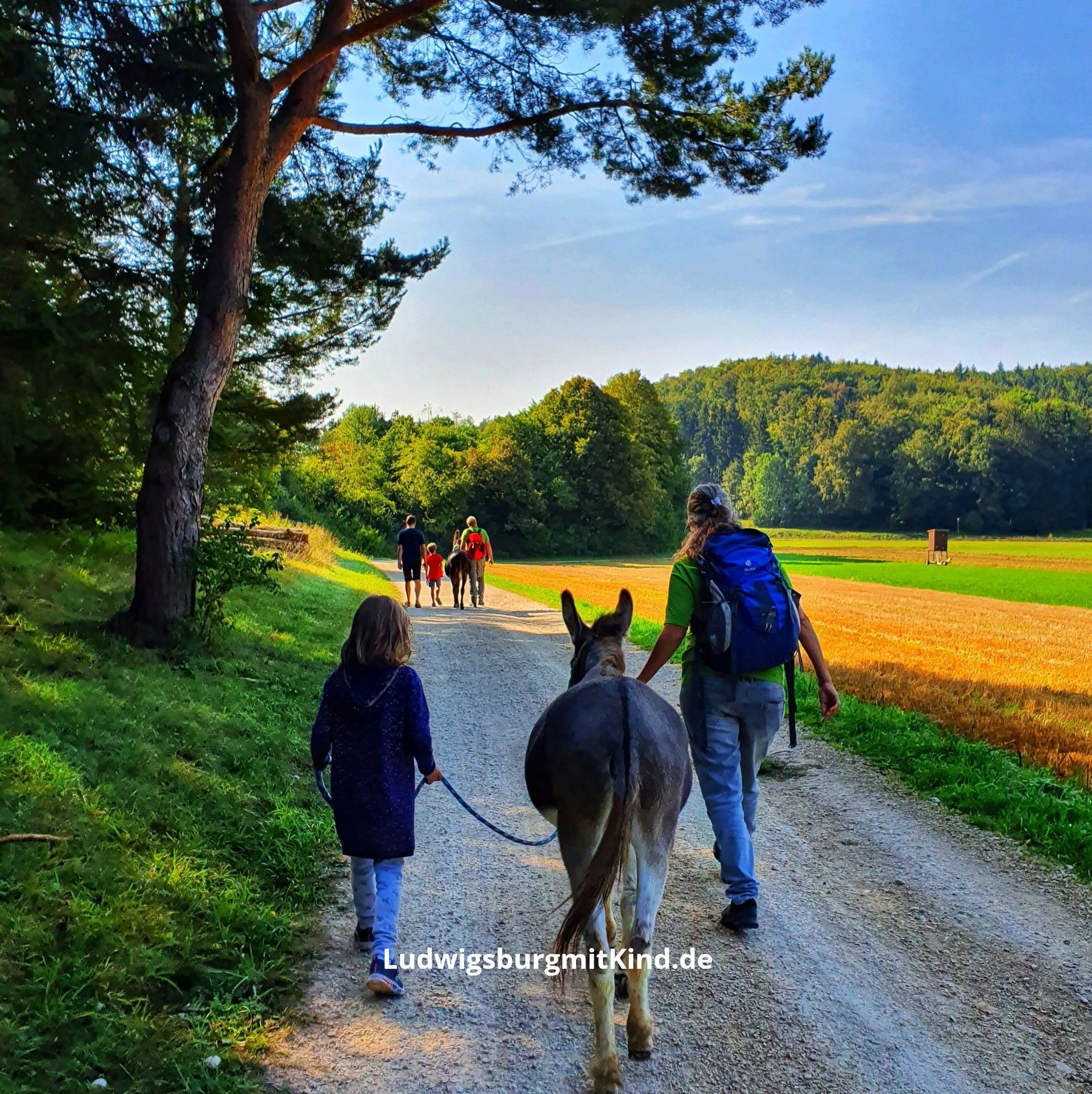 Eseltrekking auf der Schwäbischen Alb für Kinder und Familien Wandern mit Kindern und Eseln