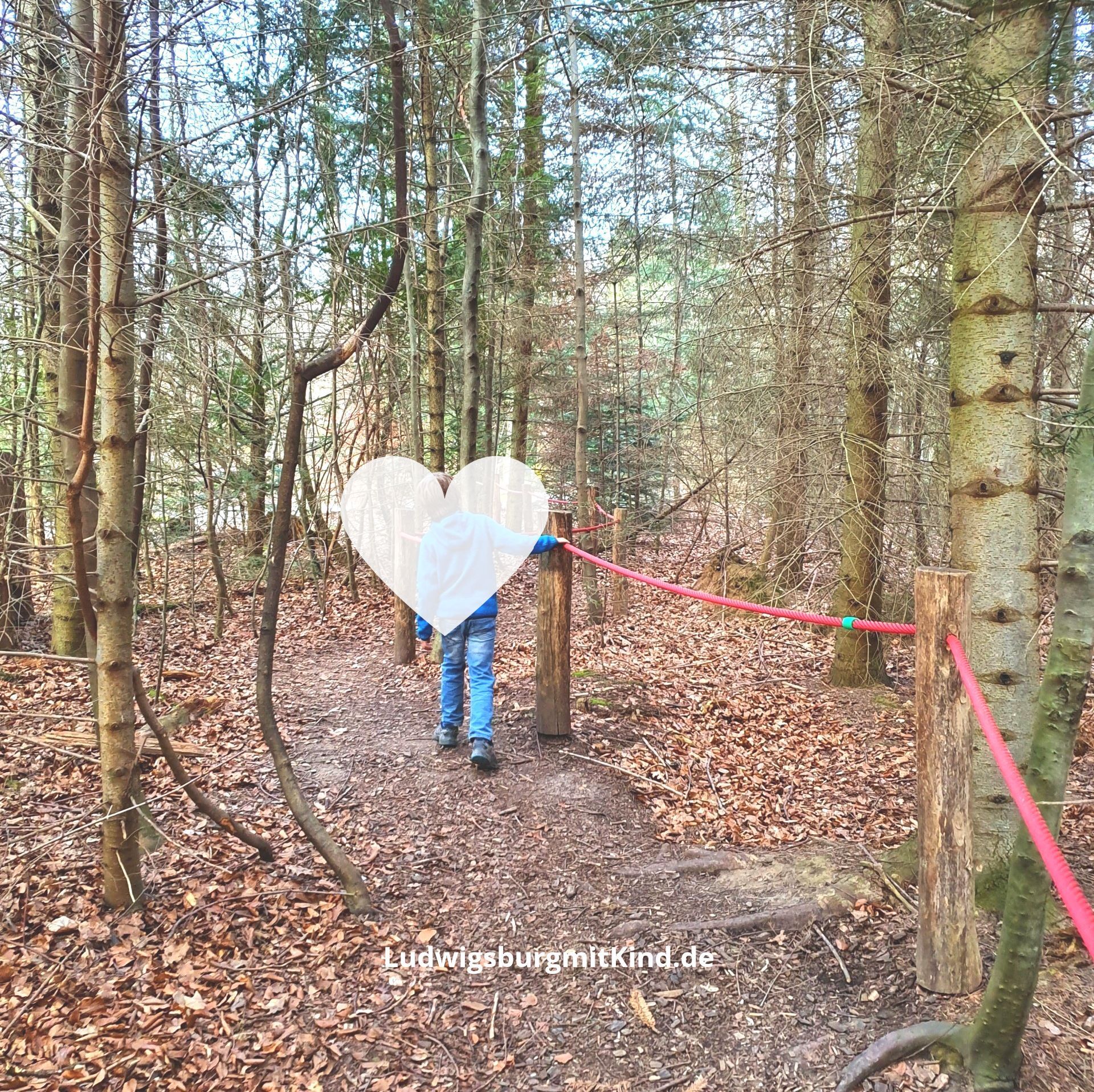 Haus des Waldes, Sinneswandel Walderlebnispfad Haus des Waldes, Sinneswandel Walderlebnispfad