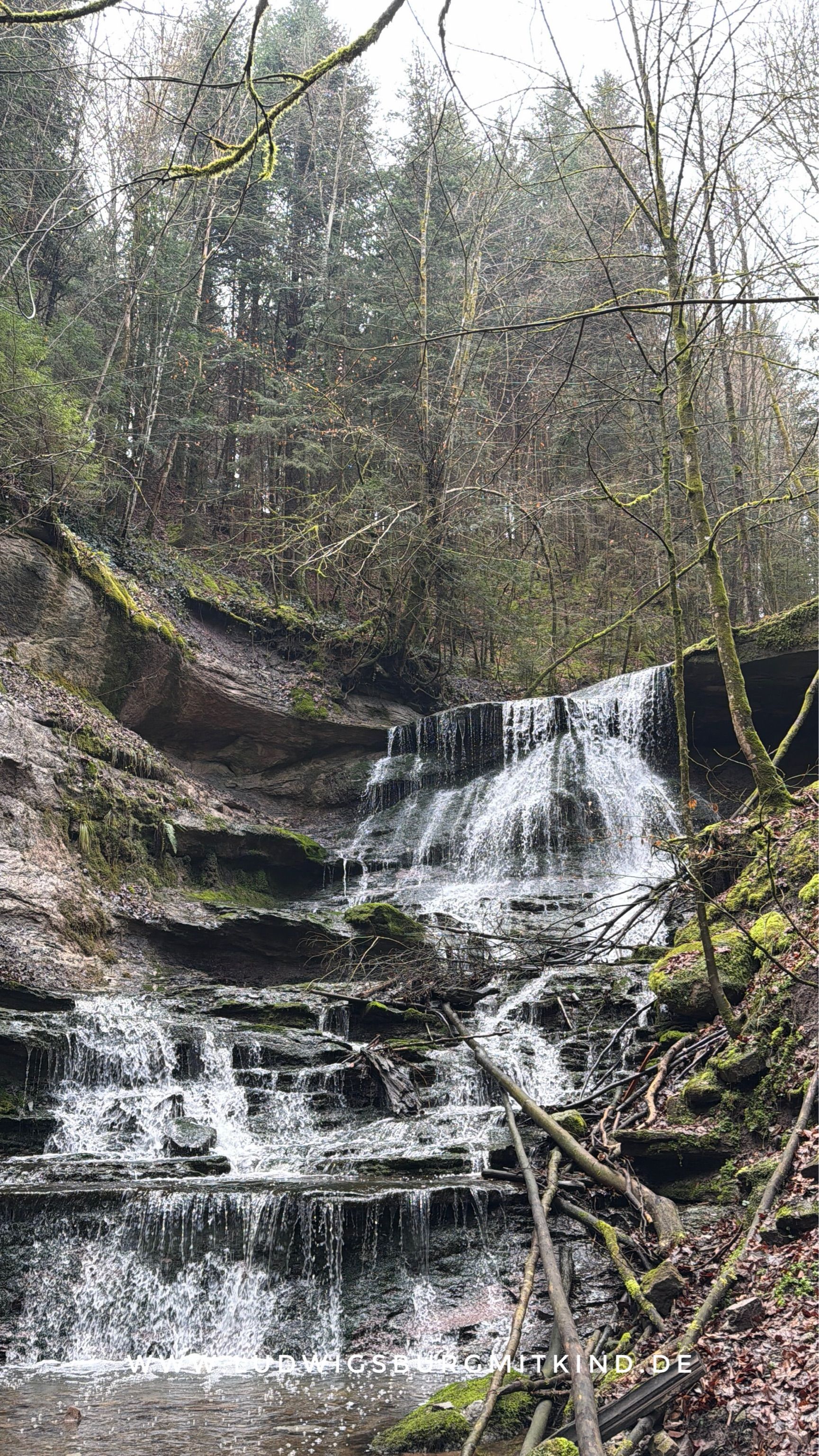 Hörschbachschlucht