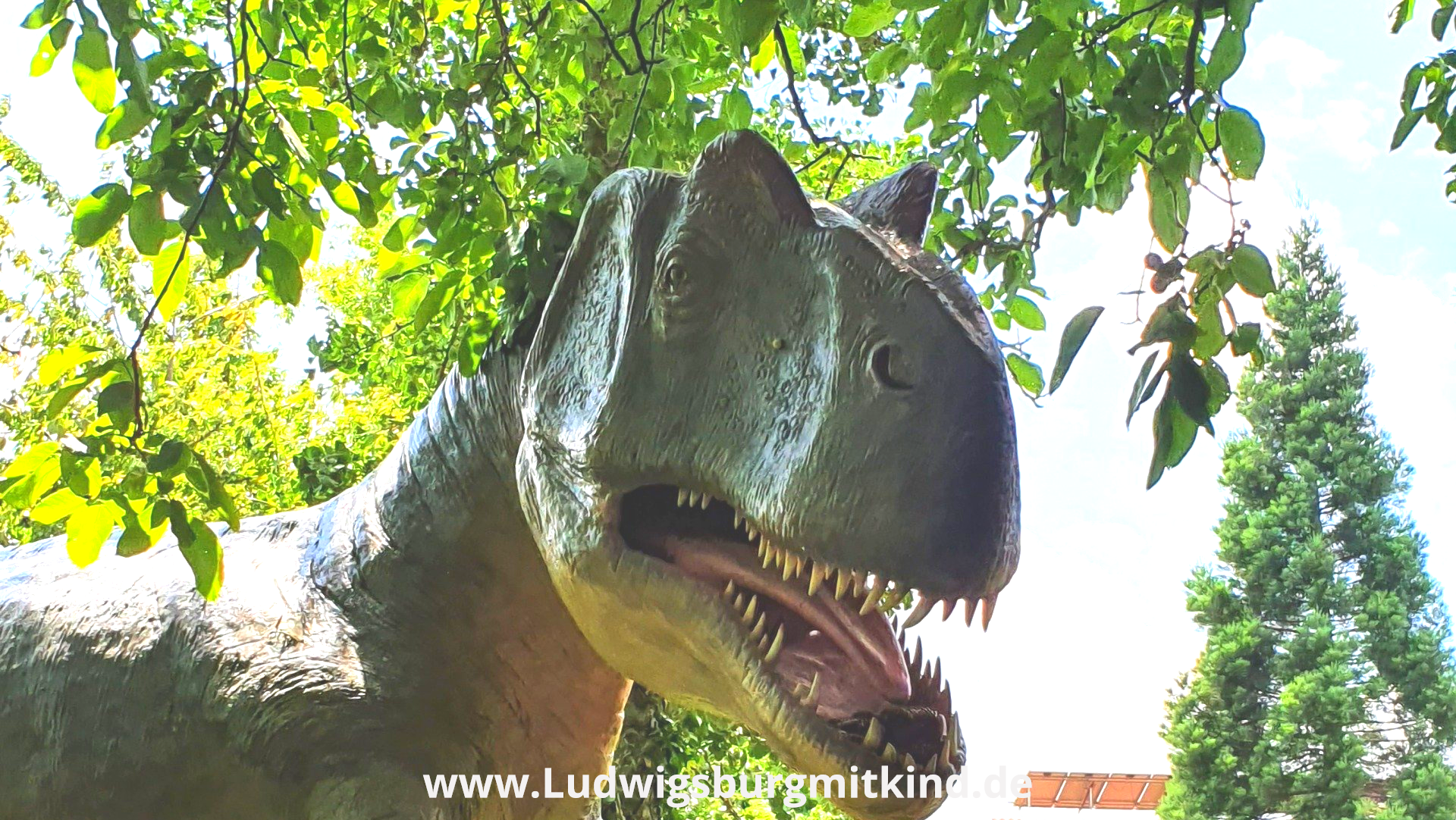 Ausflugsziel Naturkundemuseum Stuttgart