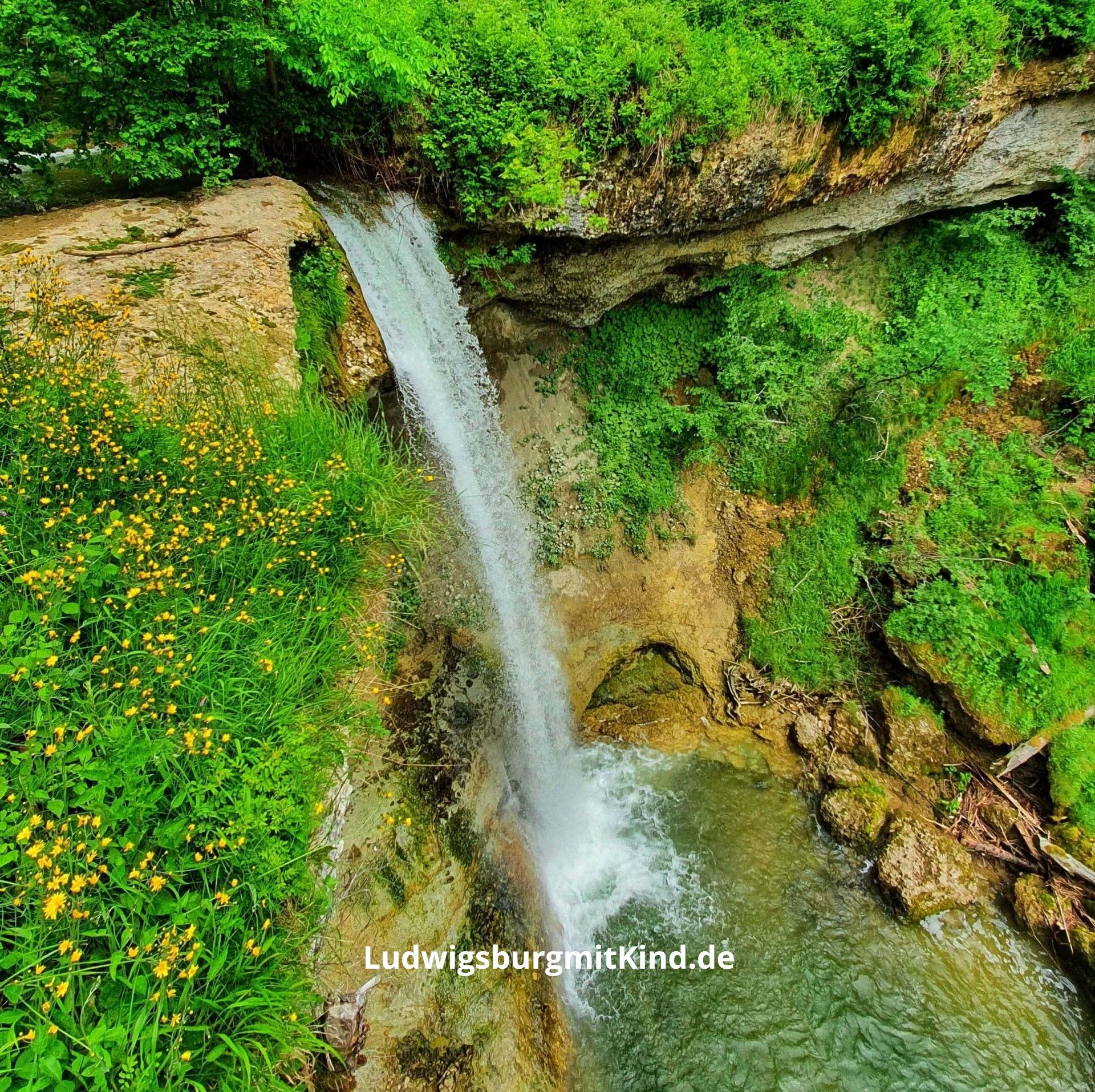 Scheidegger Wasserfall im Allgäu Ausflugsziel für Familien