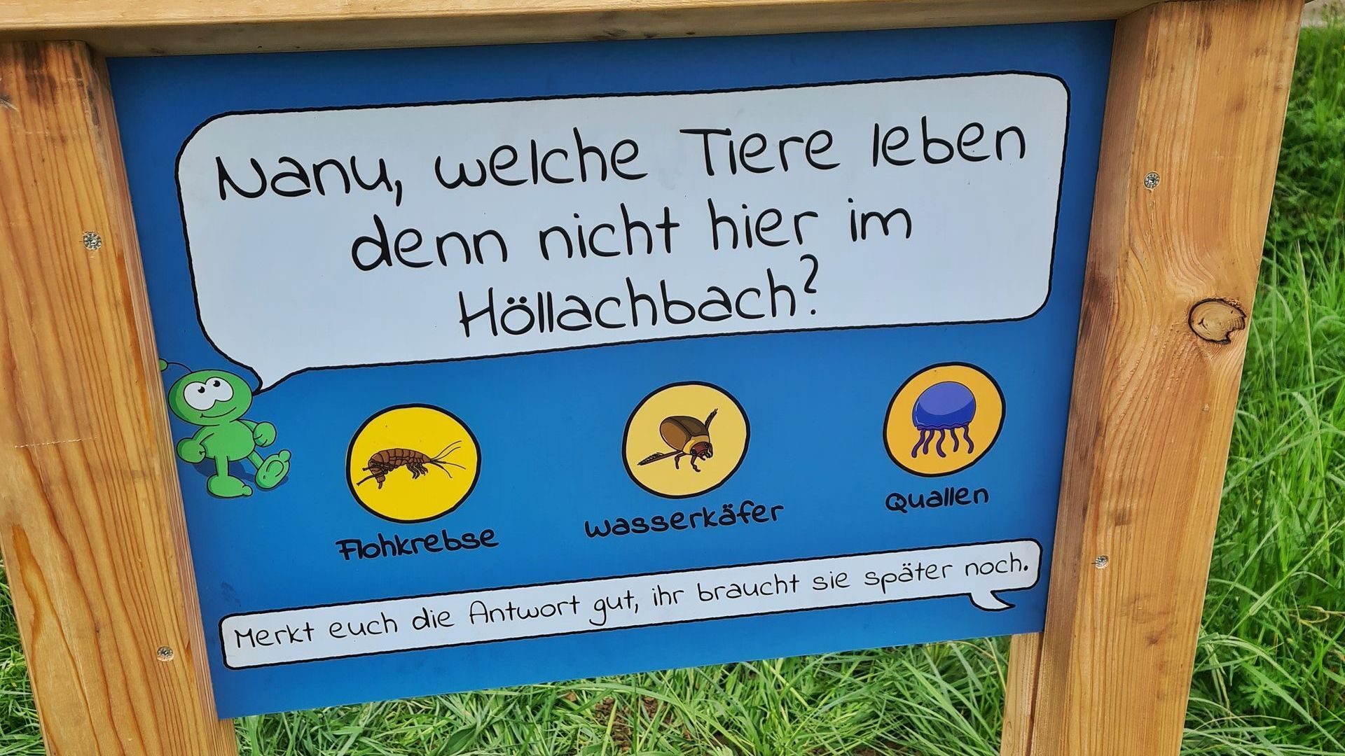 Erlebnisweg für Familien mit Kindern Kugelbahnen in Leutenbach