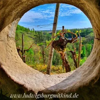 Die Markgröninger Stadtbrille auf einer Familienwanderung im Leudelsbachtal in Markgröningen.