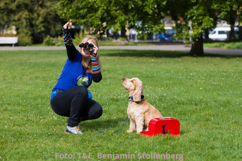 Stadtführung Ludwigsburg Kinder Familie Ludo Stadtführung Ludwigsburg Kinder Familie Ludo