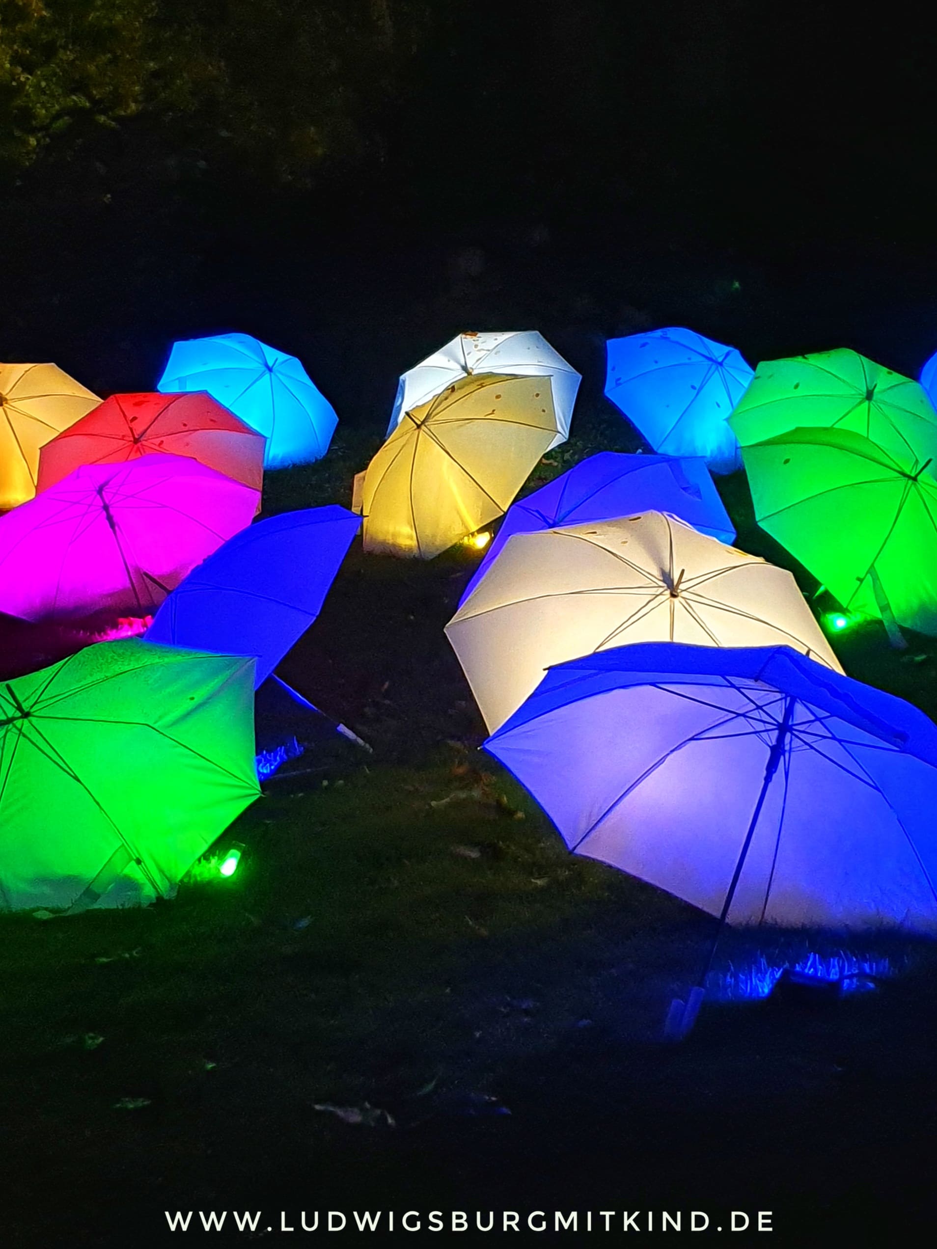Leuchtende Traumpfade
