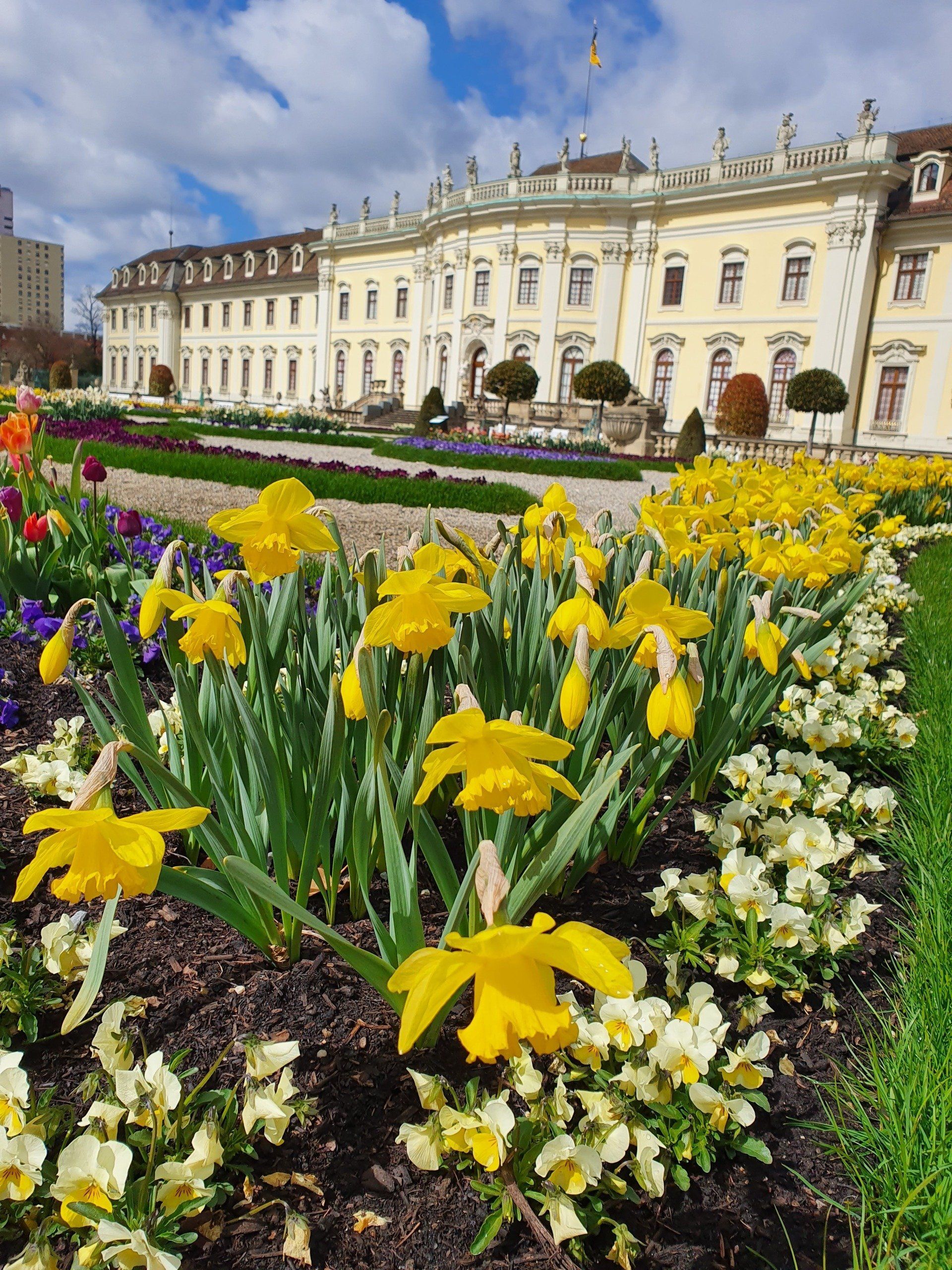 Frühlingserwachen Ludwigsburg Blühendes Barock
