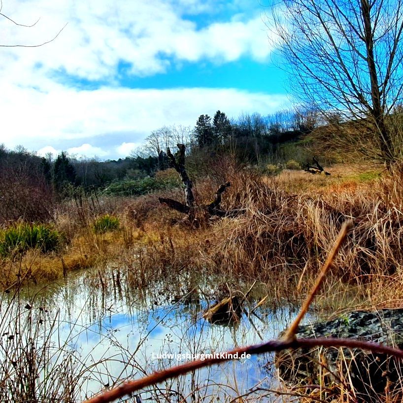 Heubach mit Kind Familienwanderung Presseartikel Ludwigsburg mit Kind Heubach mit Kind Familienwanderung Presseartikel Ludwigsburg mit Kind
