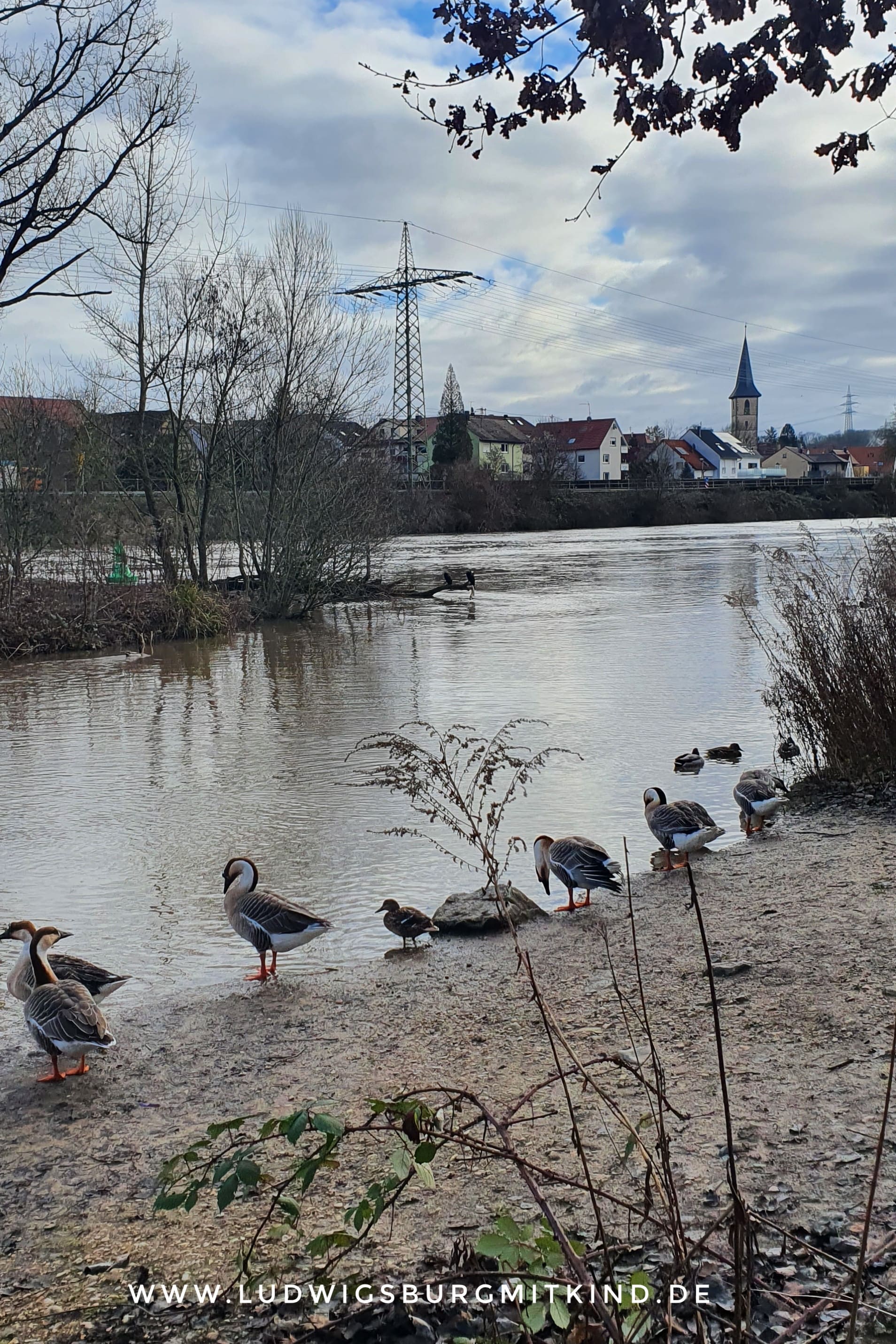 Eichhörnchen Familienwanderung Ludwigsburg Wandern Ludwigsburg mit Kind Familie Wanderweg Eichhörnchen Familienwanderung Ludwigsburg Wandern Ludwigsburg mit Kind Familie Wanderweg