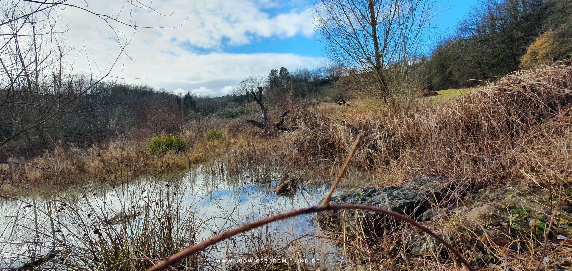 Eichhörnchen Familienwanderung Ludwigsburg Wandern Ludwigsburg mit Kind Familie Wanderweg Eichhörnchen Familienwanderung Ludwigsburg Wandern Ludwigsburg mit Kind Familie Wanderweg