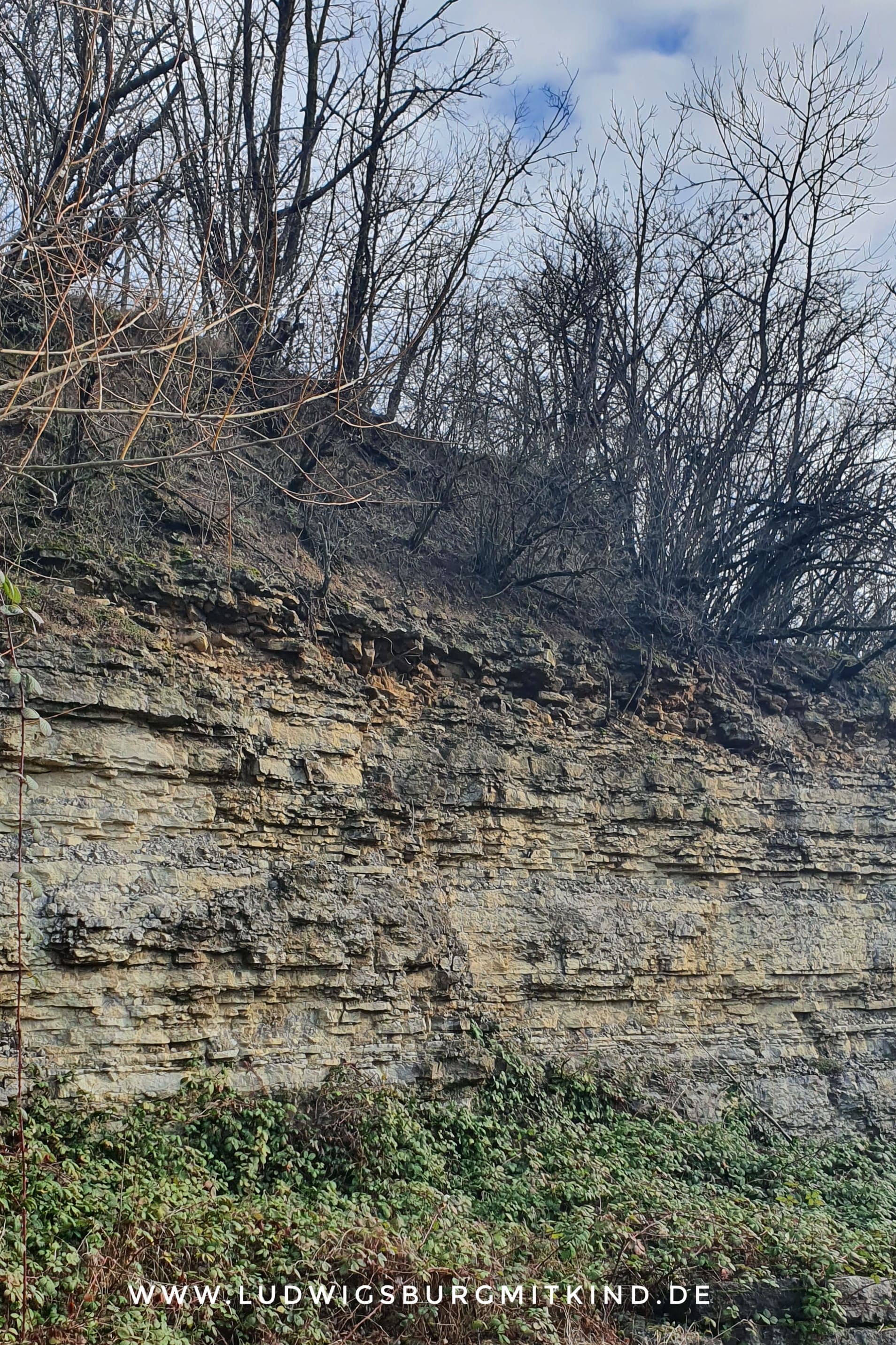 Eichhörnchen Familienwanderung Ludwigsburg Wandern Ludwigsburg mit Kind Familie Wanderweg Eichhörnchen Familienwanderung Ludwigsburg Wandern Ludwigsburg mit Kind Familie Wanderweg