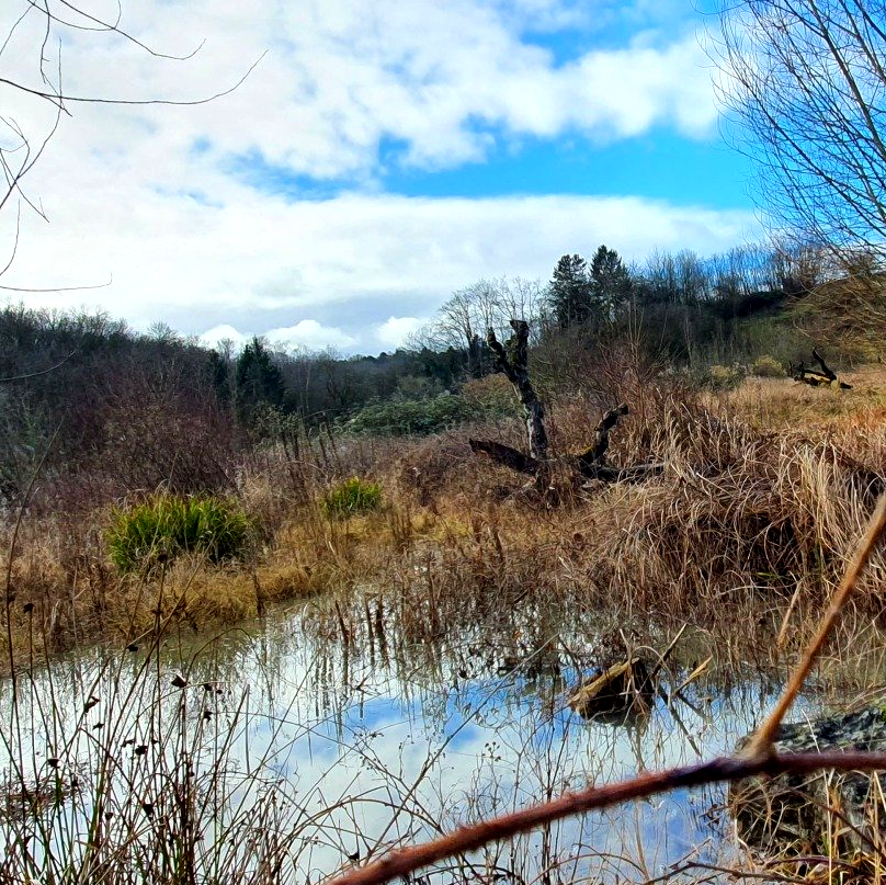 Eichhörnchenweg, Ludwigsburgs erster Familienwanderweg