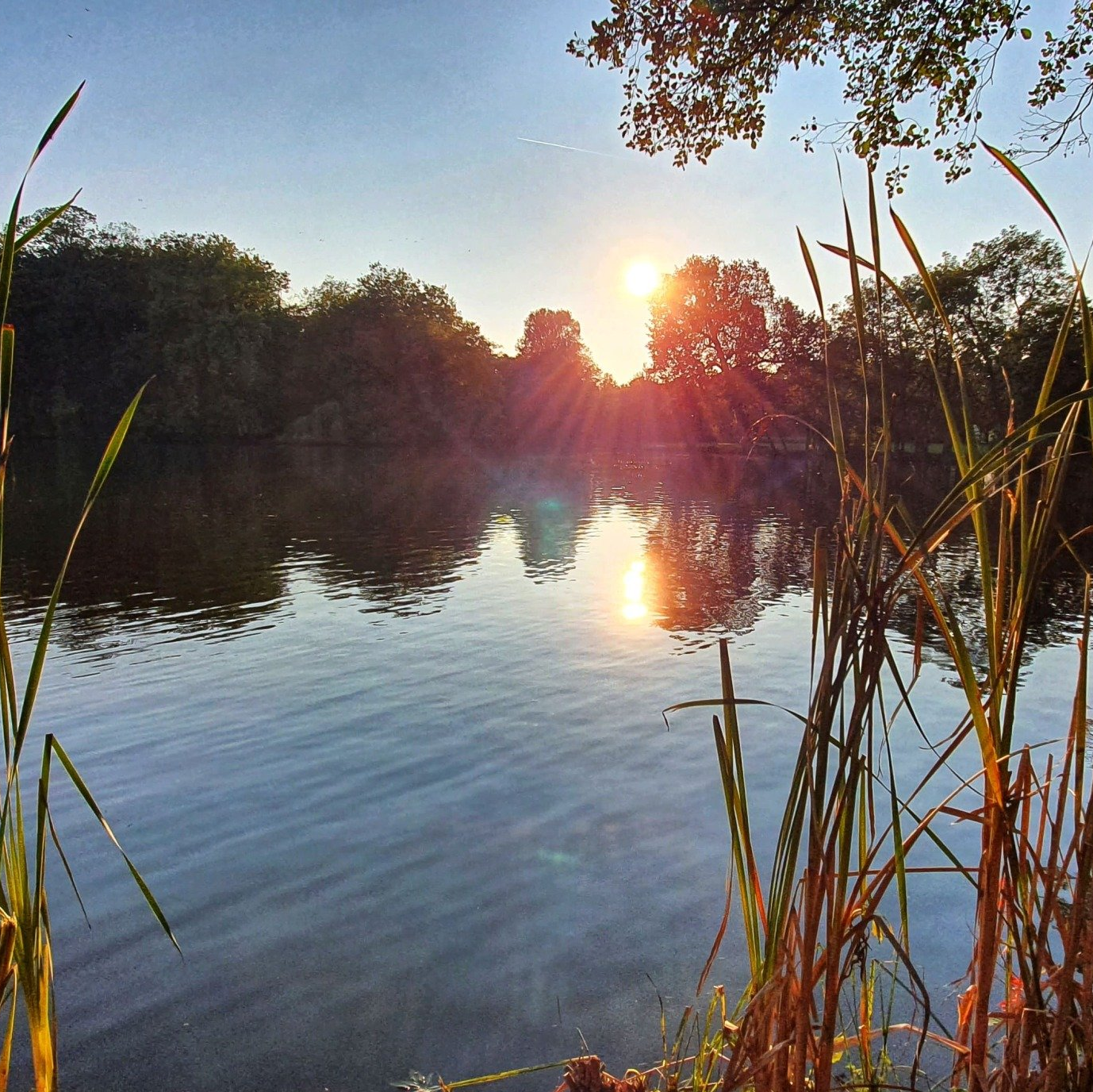 Kinder im Treetboot vor dem Seeschloss Monrepos in Ludwigsburg, ein beliebtes Ausflugsziel für Familien.