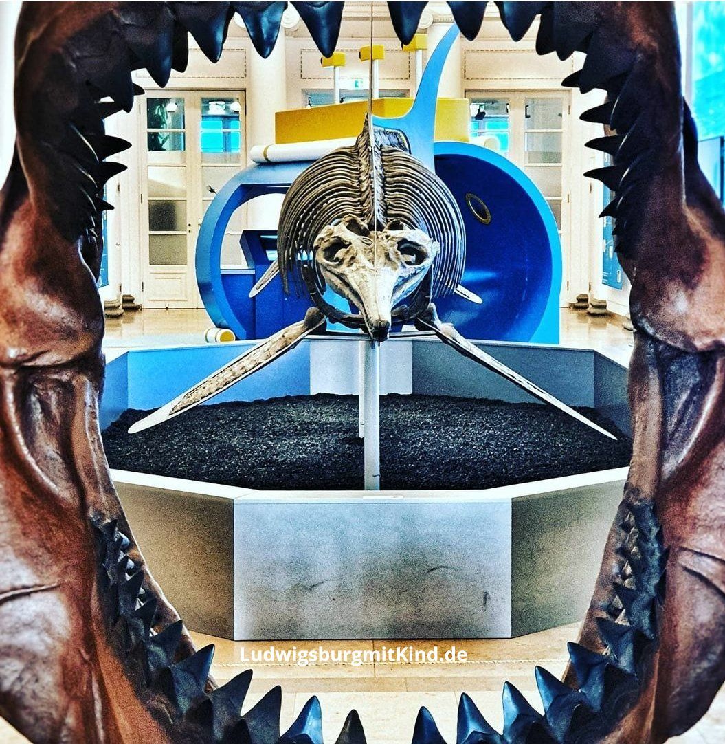 Naturkundemuseum Stuttgart, Familienausflugsziel, Museum für Kinder Naturkundemuseum Stuttgart, Familienausflugsziel, Museum für Kinder