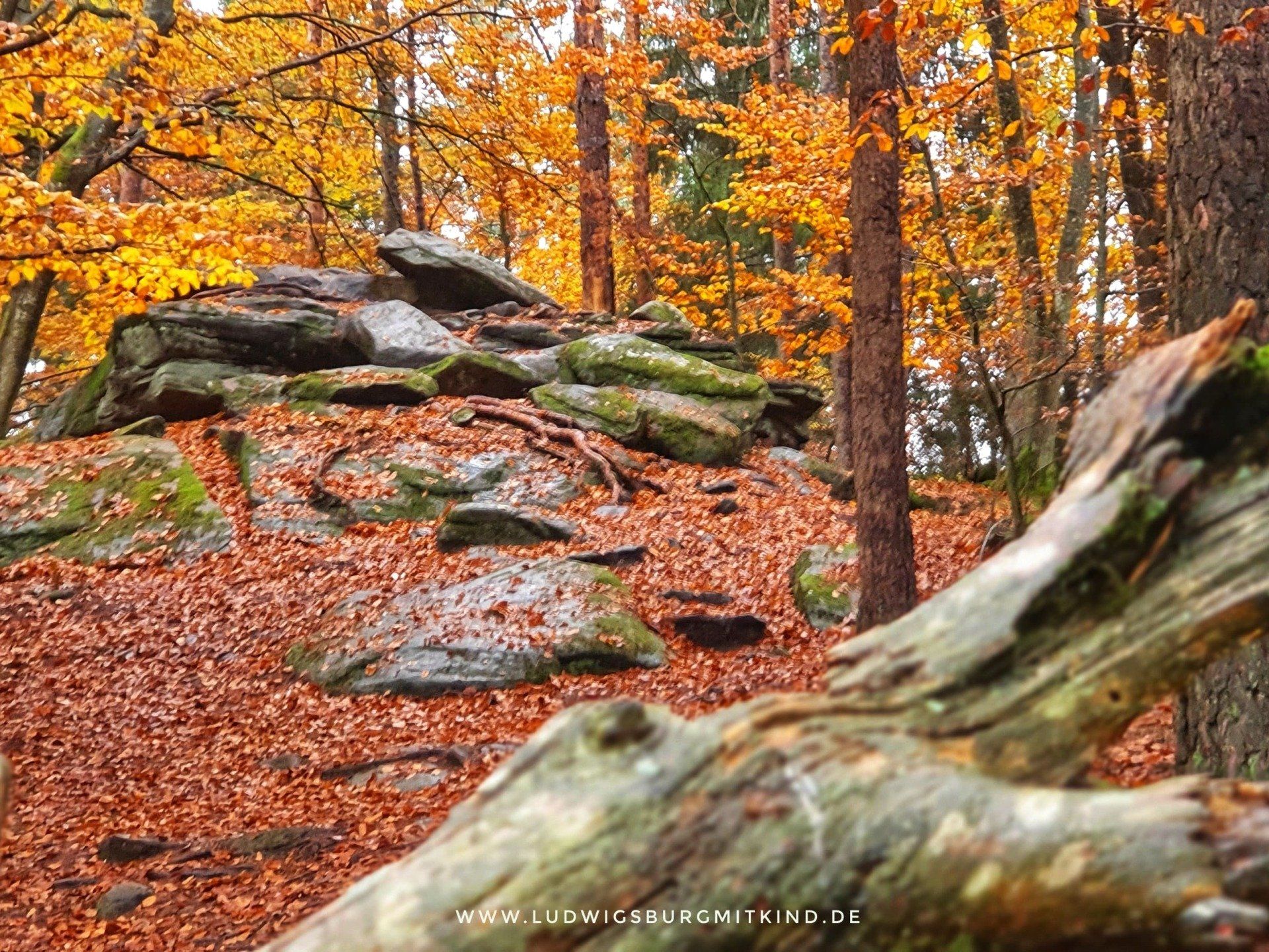 Wandern mit Kindern Pfalz, Pfälzerwald, Teufelstisch Wandern mit Kindern Pfalz, Pfälzerwald, Teufelstisch