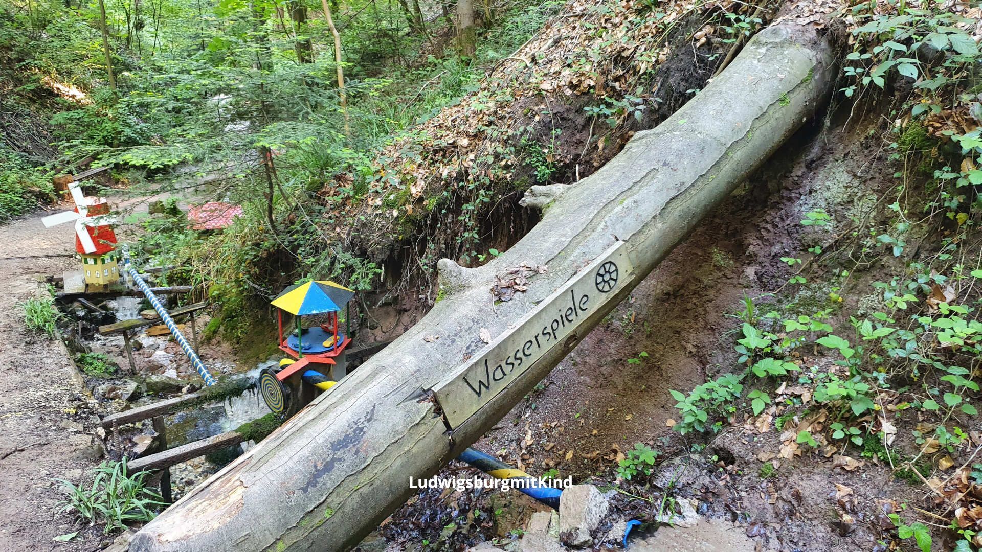 Wasserspiele in der Schelmenklinge Lorch und ein Baumstamm.