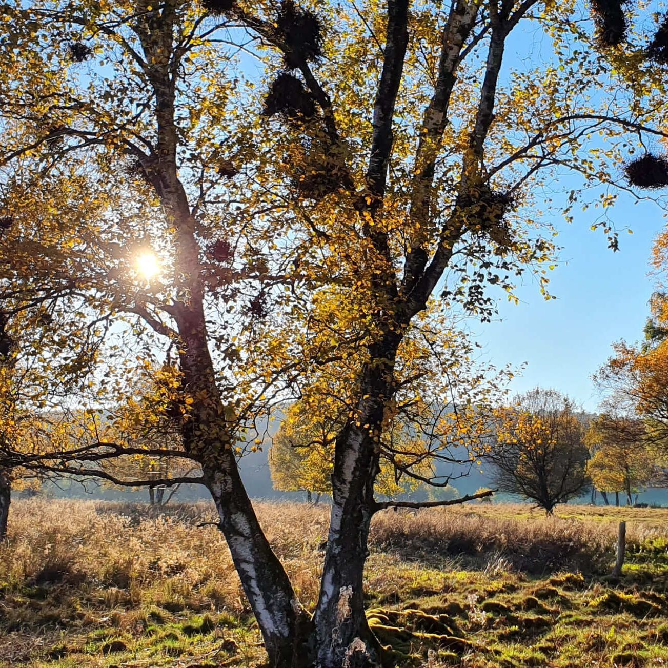 Schwäbische Alb mit Kindern, Naturschutzzentrum Schopflocher Alb