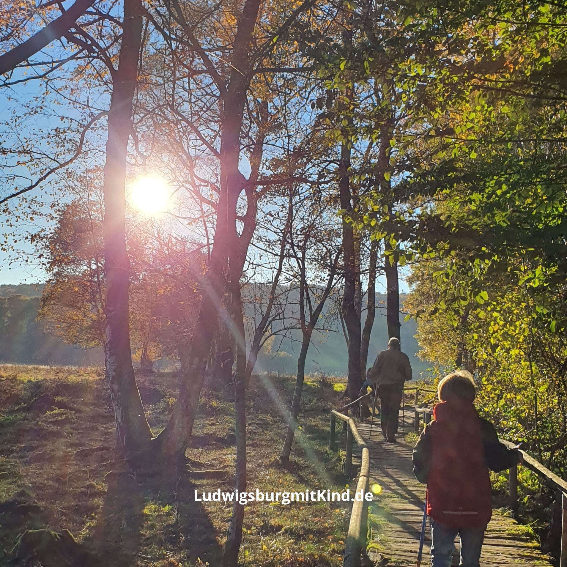 Ein Kind und ein Opa wandern auf dem Bohlensteg durch das Schopflocher Moor auf der Schwäbischen Alb.