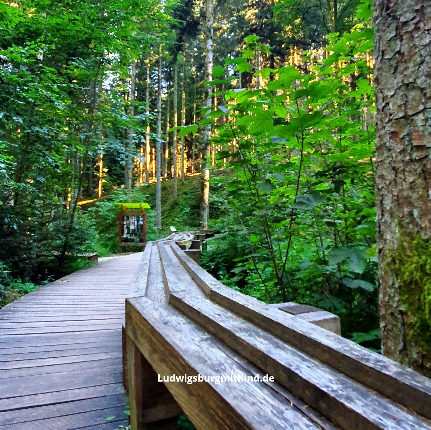 Hier sieht man eine Holukugelbahn im Wald. Sie gehört zum Ausflugsziel für Familien Walderlebnispfad Naturatum in Wetzgau in Schwäbisch Gmünd.