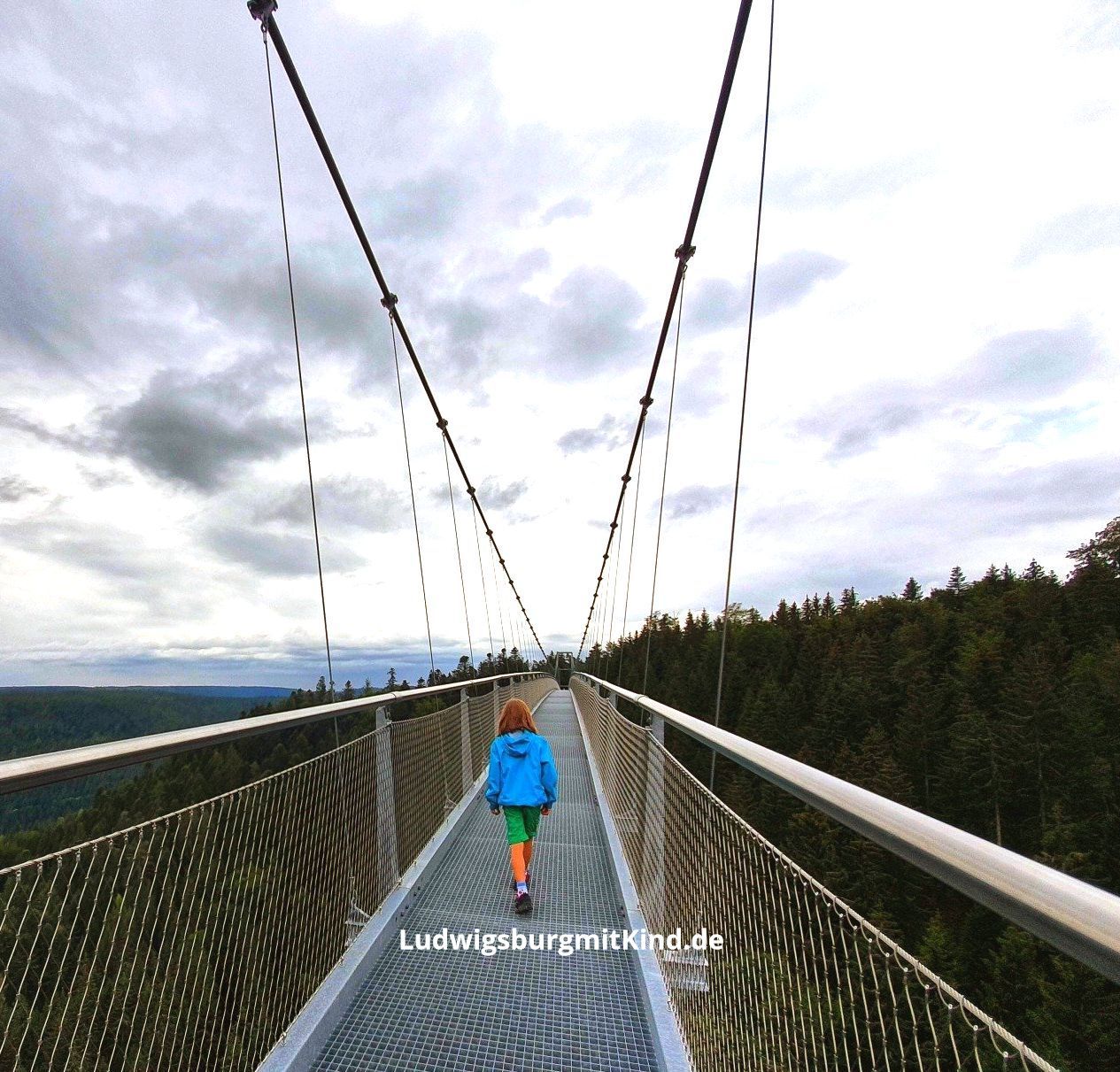 Familienausflugsziel Skyline Hängebrücke im Schwarzwald, Wandern mit Kindern