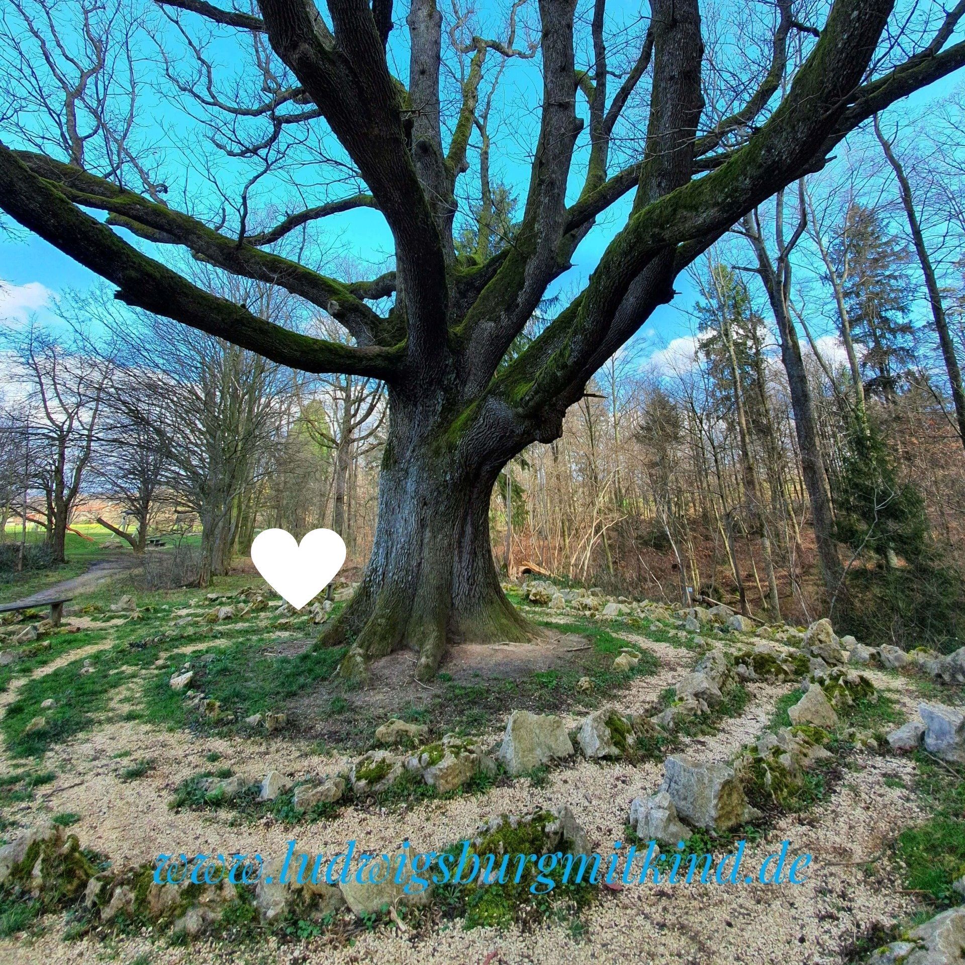 Ein Kind läuft auf dem Sinneswandel Walderlebnispfad in Bad Boll durch ein Labyrinth.