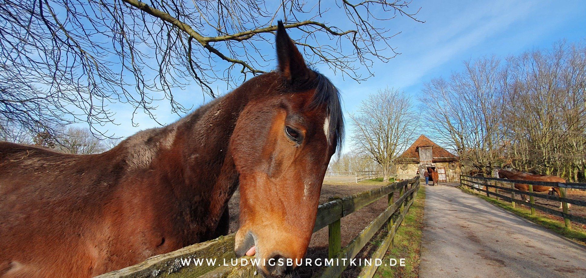 Schloss Solitude Stuttgart Ausflugsziel für Familien Schloss Solitude Stuttgart Ausflugsziel für Familien