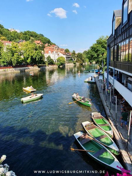 Boote in Tübingen