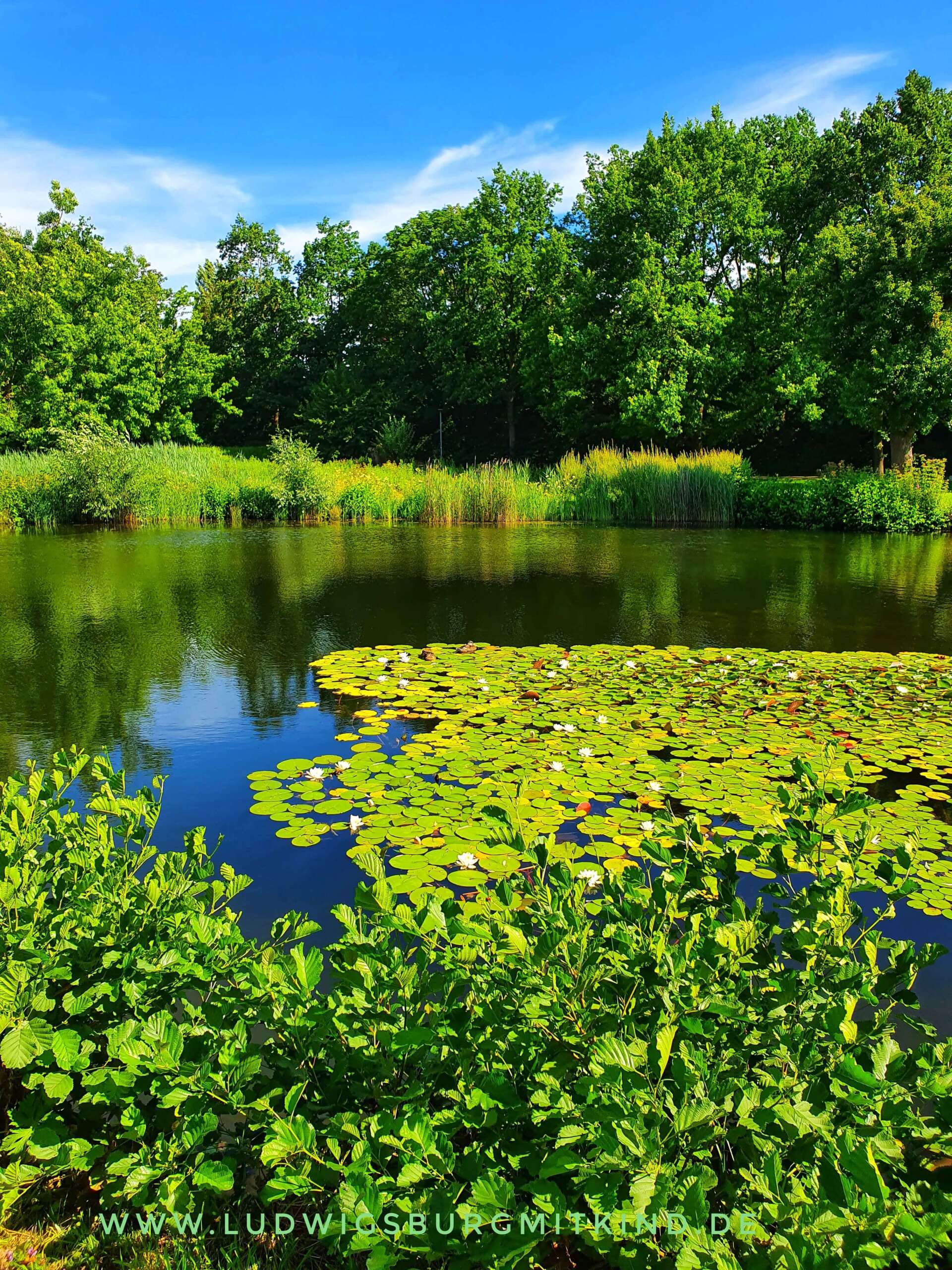 Fahrradtour nach Waiblingen am Neckar Fahrradtour nach Waiblingen am Neckar