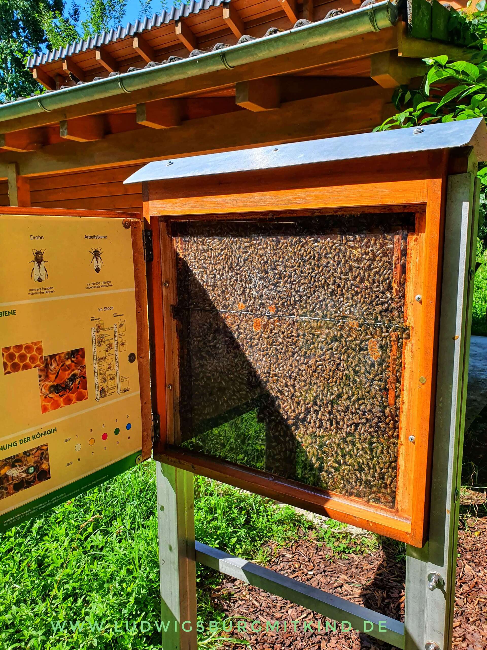 Familienausflugsziel Talaue Waiblingen Familienausflugsziel Talaue Waiblingen