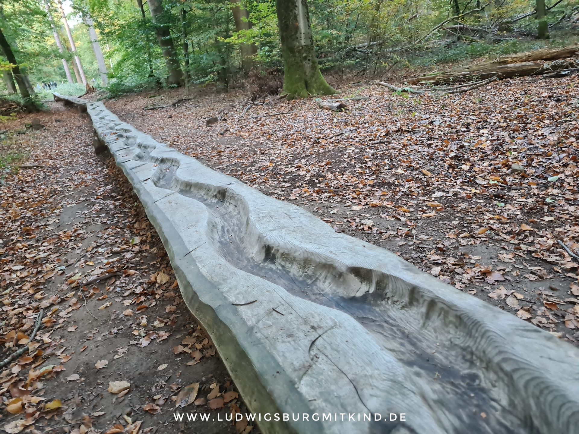 Walderlebnispfad mit Kugelbahnen In Gerlingen Stuttgart