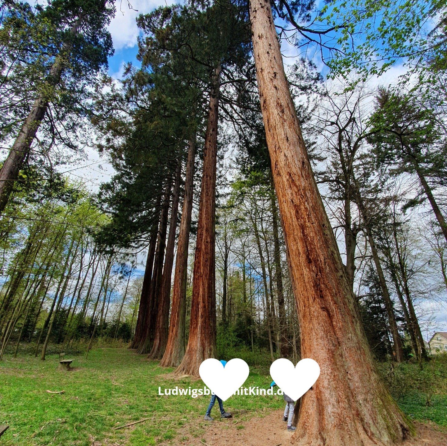 Welzheim Familienausflugsziel