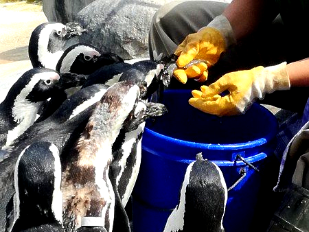 Wilhelma Stuttgart Kindergeburtstag Wilhelma Stuttgart Kindergeburtstag