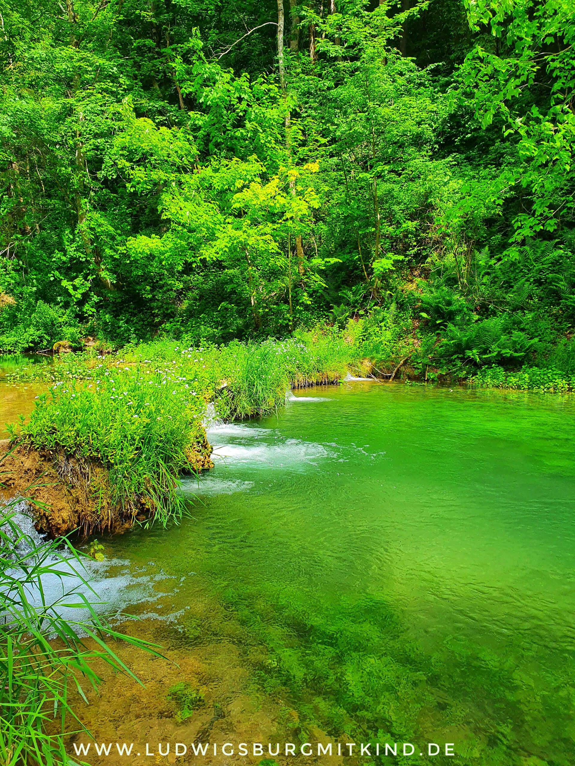 Wimsener Höhle Schwäbische Alb Familienausflugsziel Wimsener Höhle Schwäbische Alb Familienausflugsziel