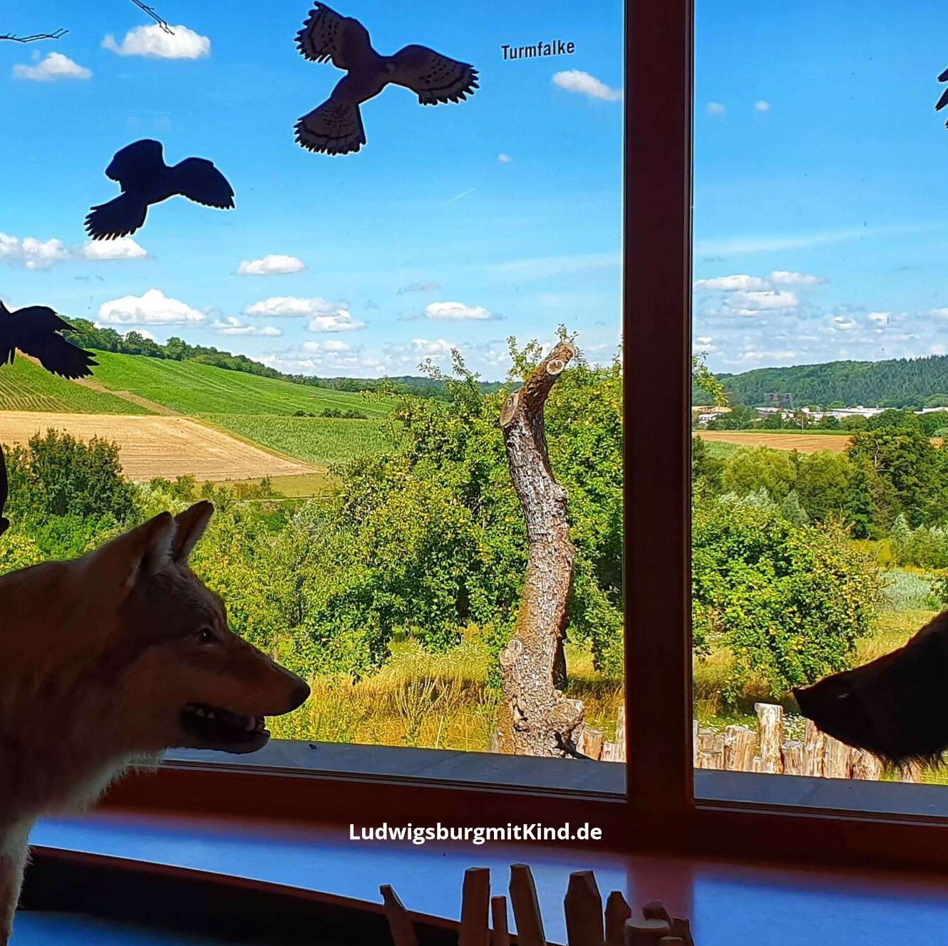 Familienausflugsziel in Zaberfeld Naturparkzentrum Stromberg-Heuchelberg, Zaberfeld, Familienausflugsziel